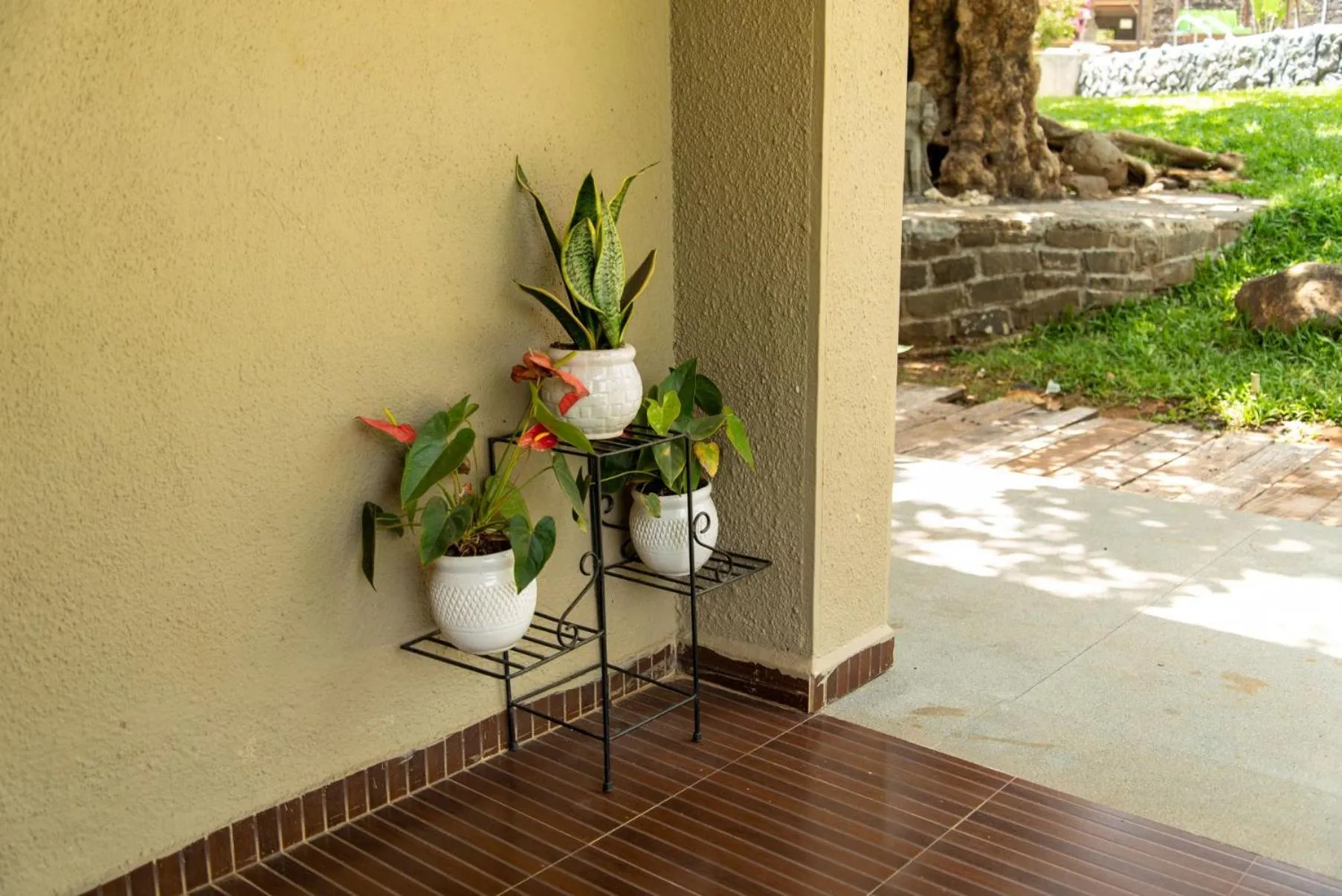 Spring in Malhar Machi Mountain Resorts