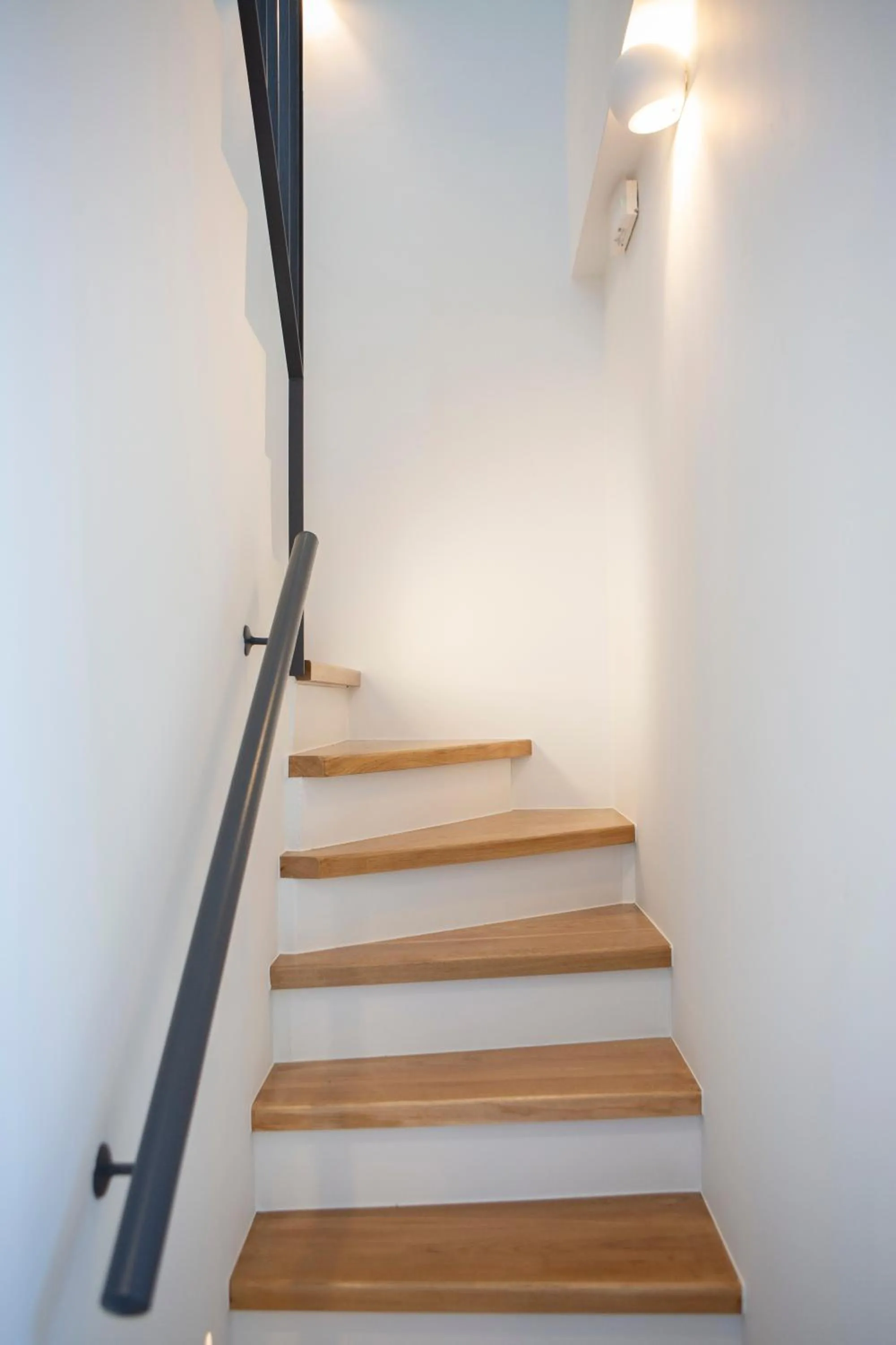 Lirides suites