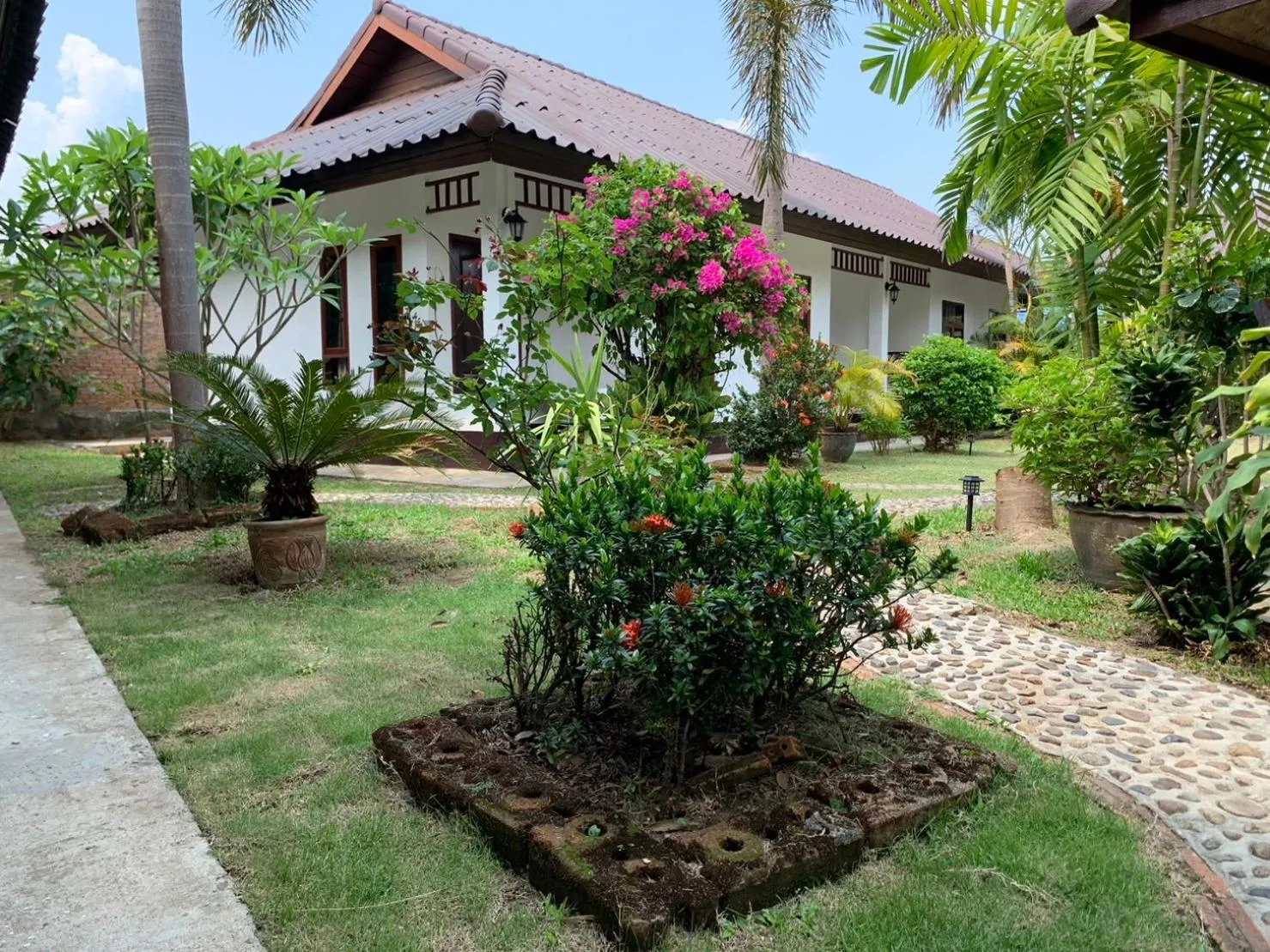 Communal lounge/ TV room in Hotel Pailifornia