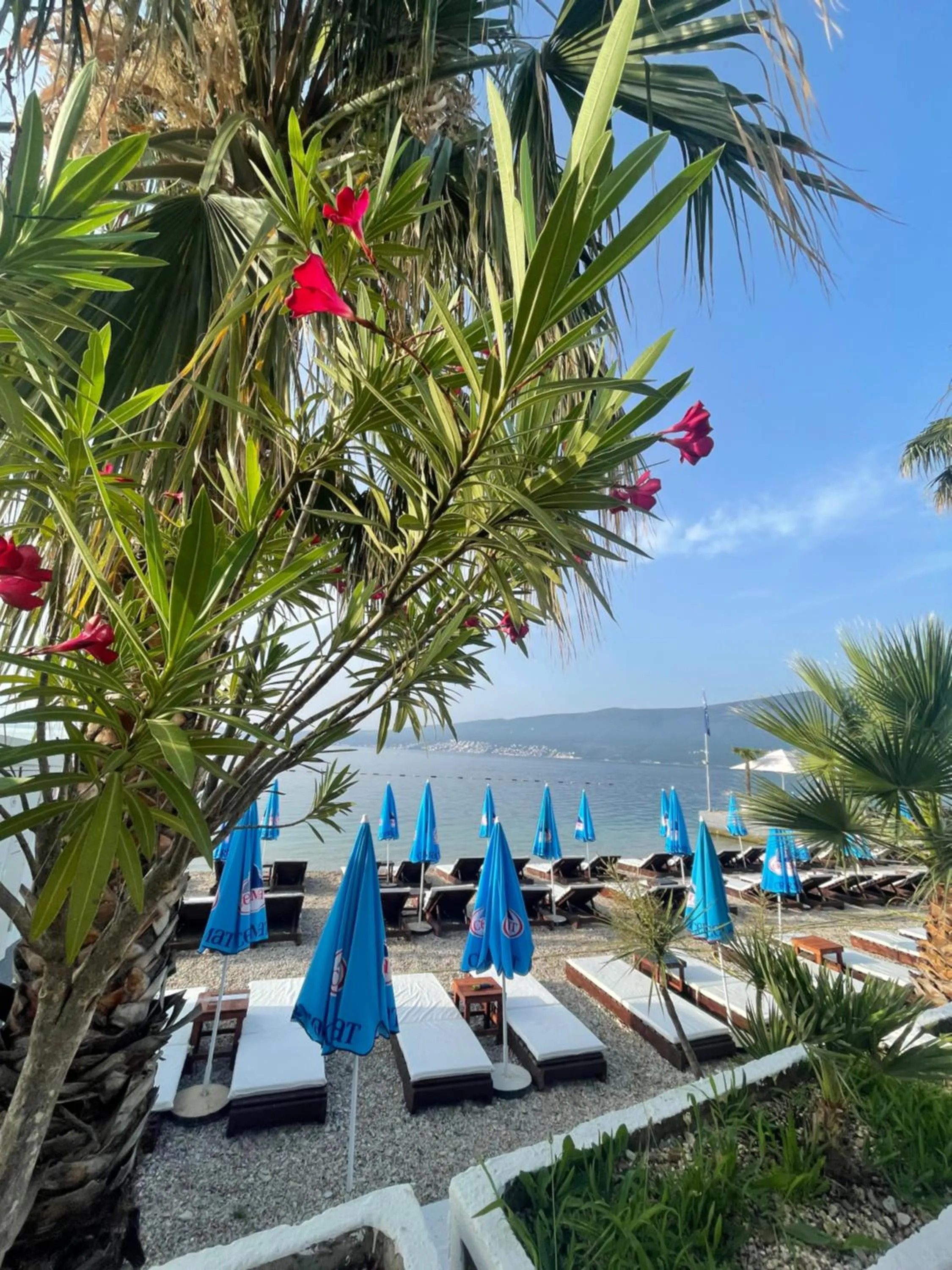 Natural landscape in Hotel Azzurro