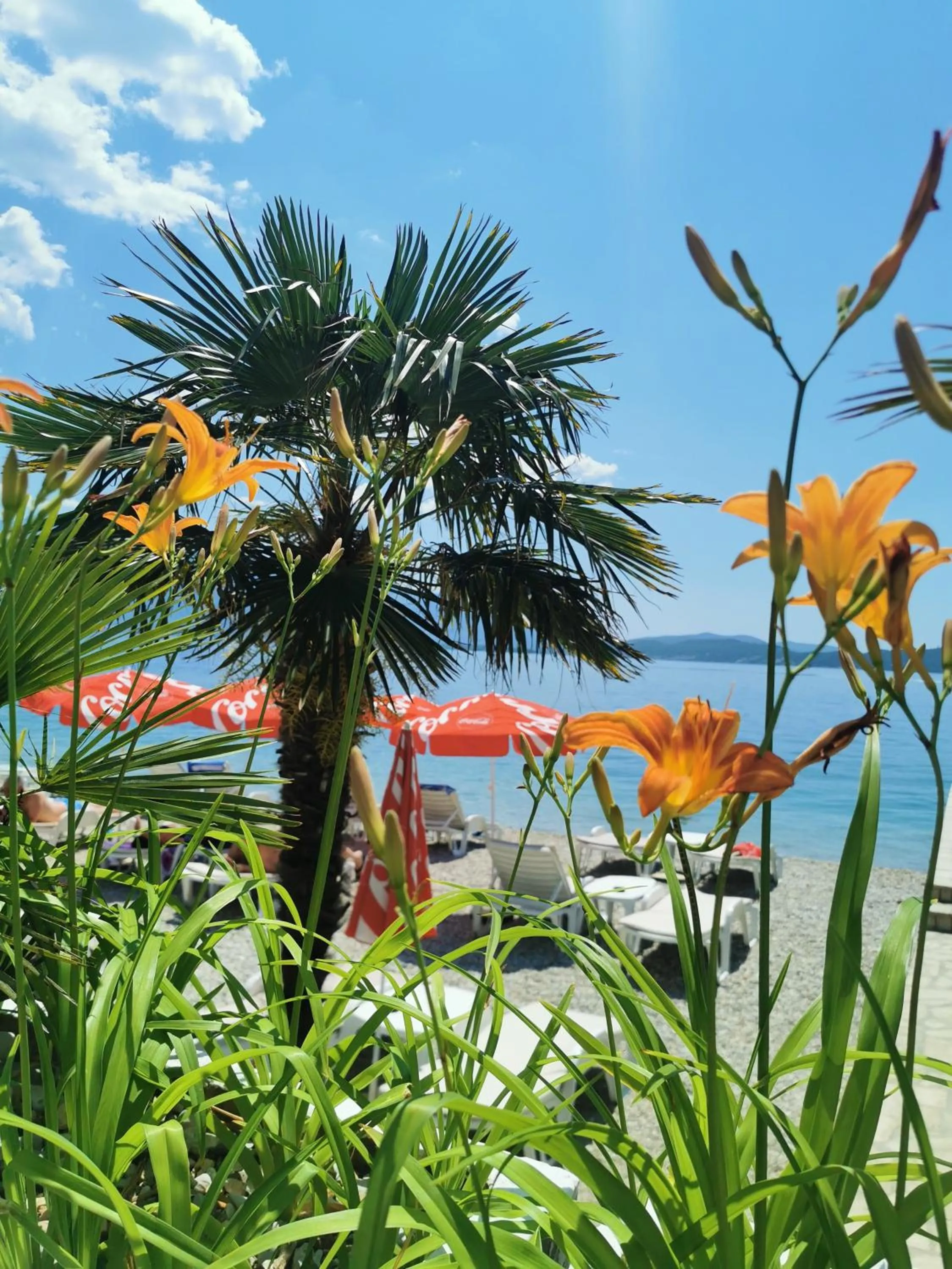 Beach in Hotel Azzurro
