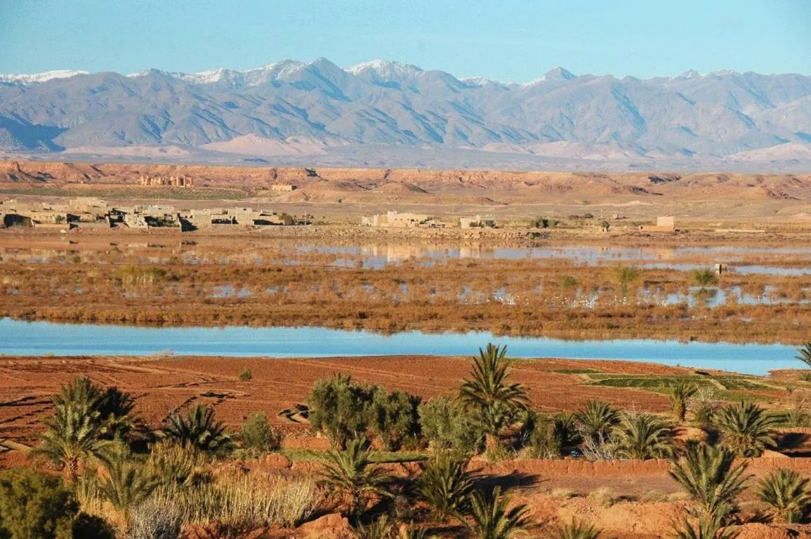 Area and facilities in Dar Bladi