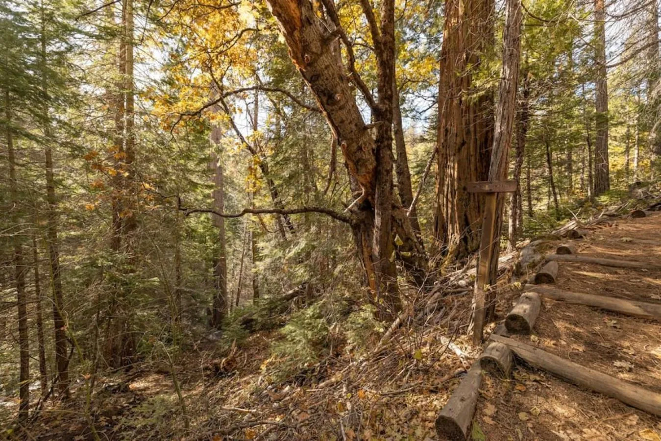 Red Rock Falls Cabin, 8 miles from Yosemite South Gate, with trailhead, Game Room and HotTub