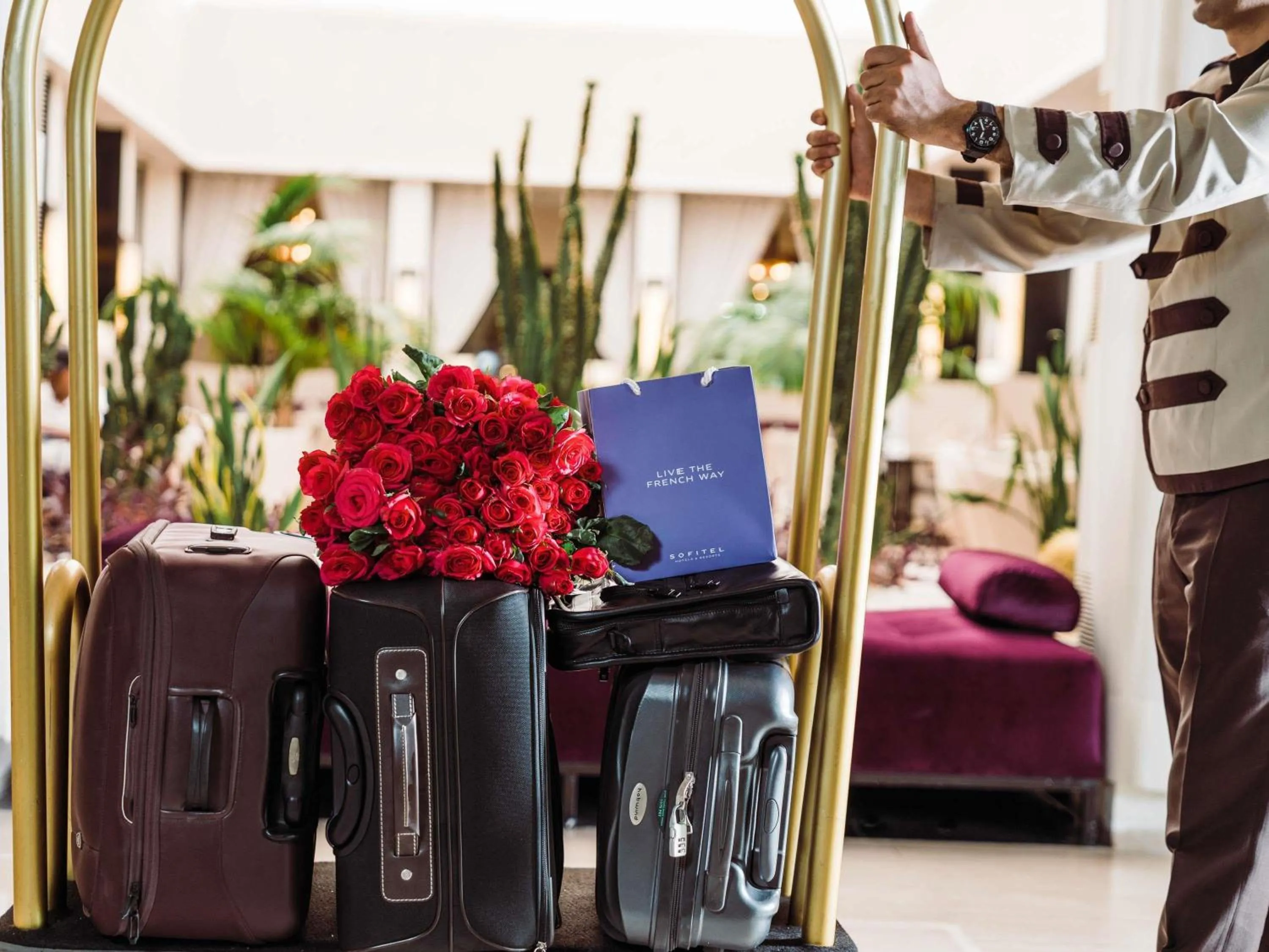 Other in Sofitel Rabat Jardin Des Roses