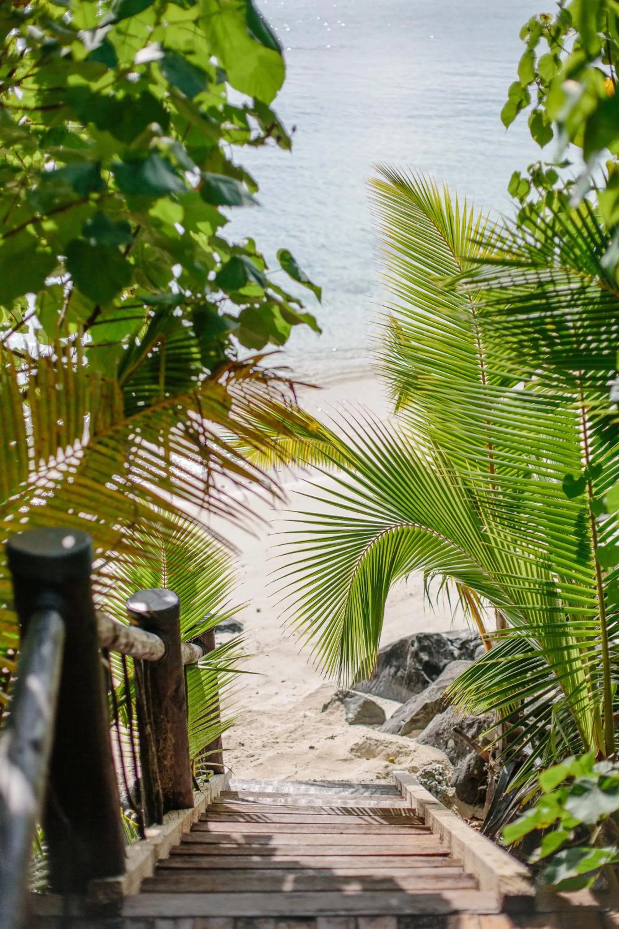 Natural landscape in Pacific Resort Aitutaki - Adults Only