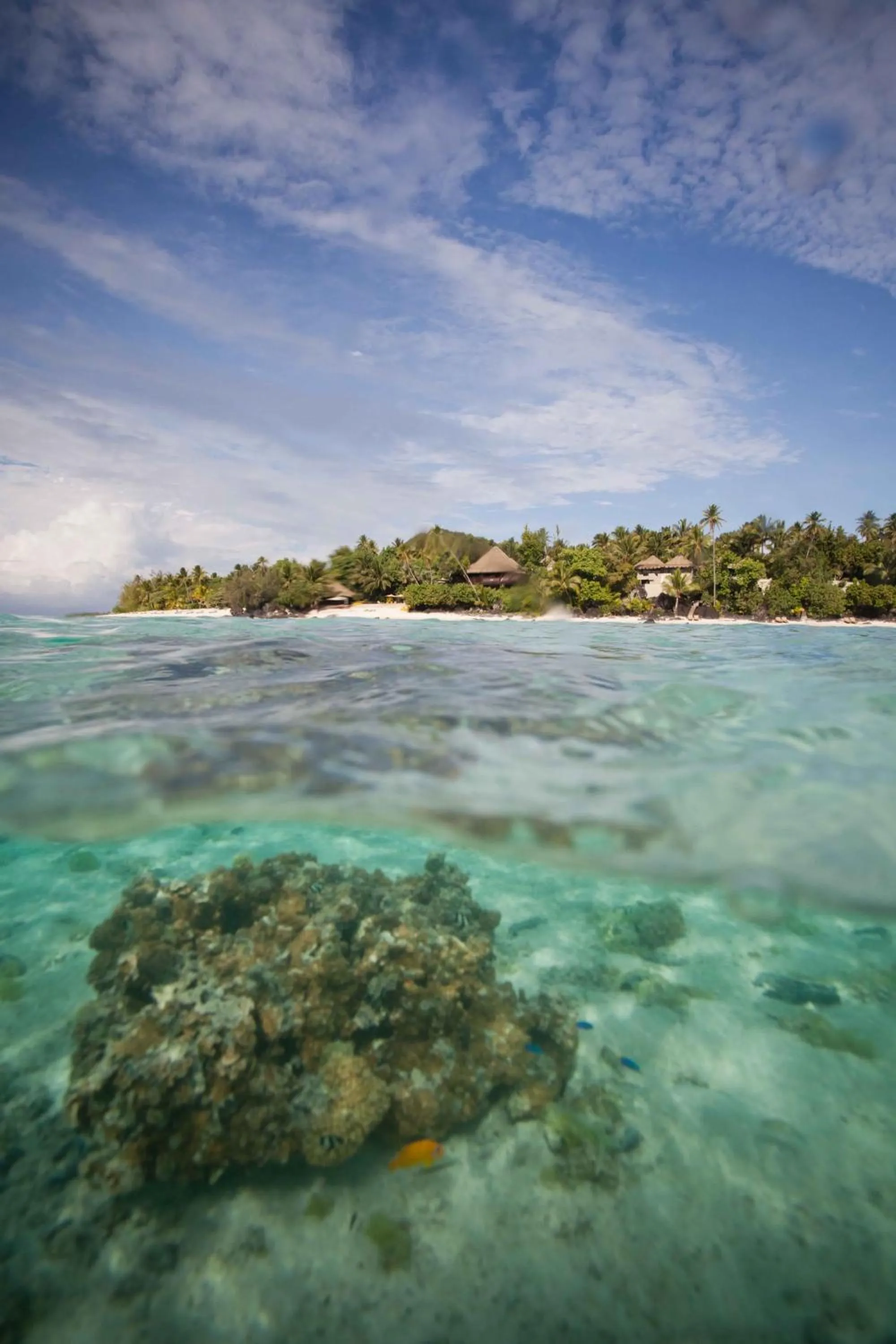 Natural landscape in Pacific Resort Aitutaki - Adults Only