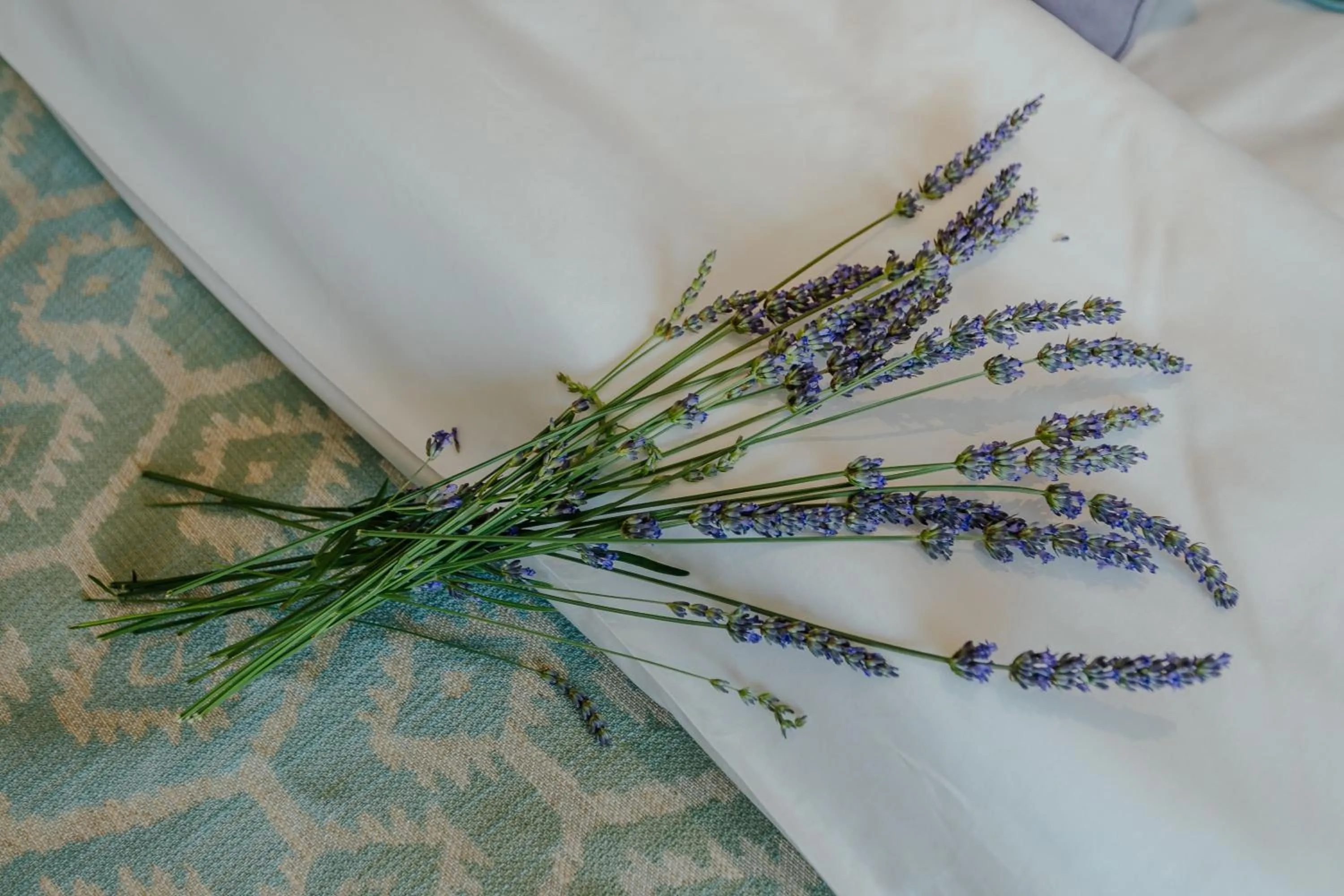 Decorative detail in Boutique Hotel & Spa Casa del Mare - Mediterraneo