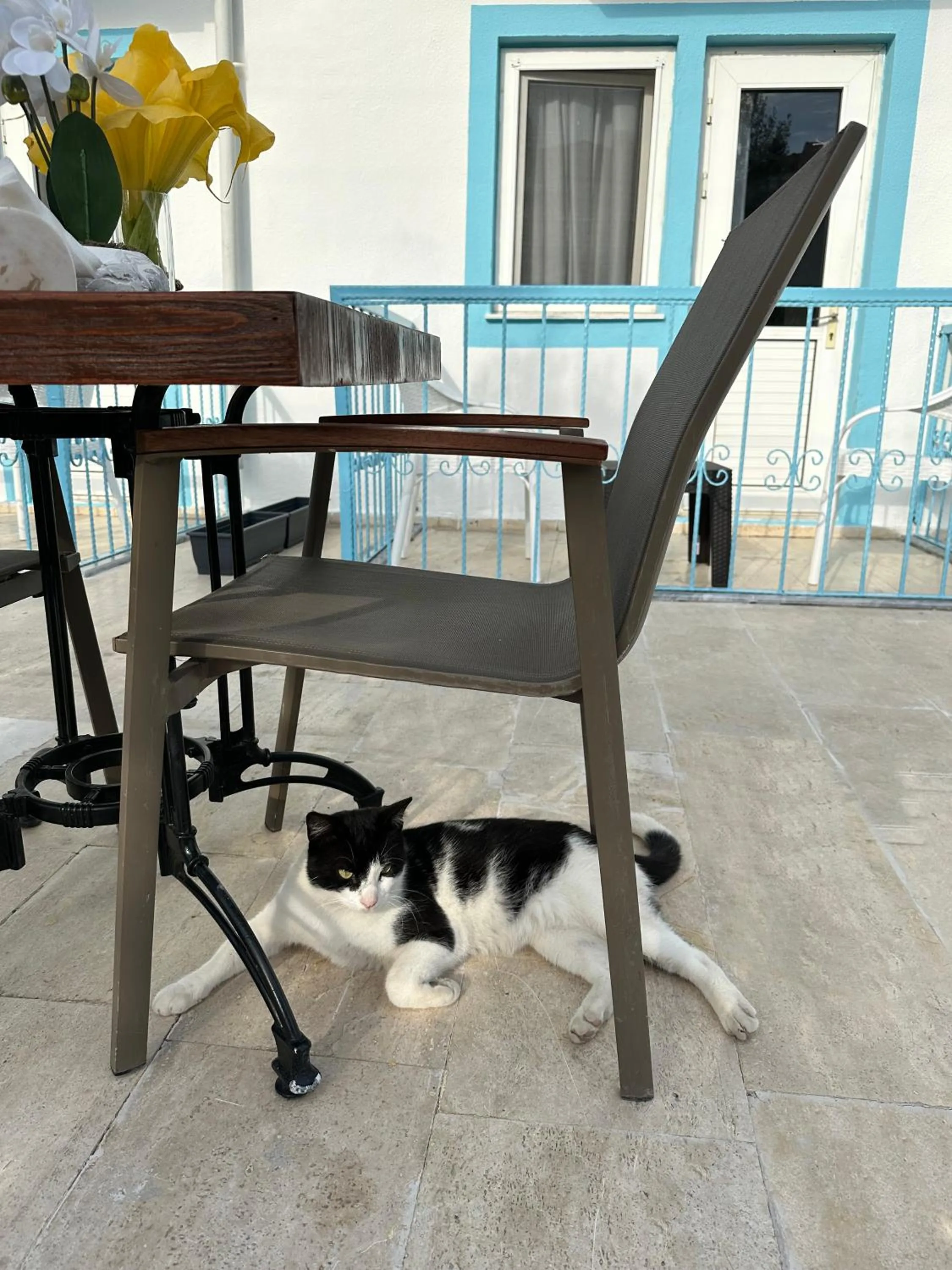 Garden in enjoy hotel