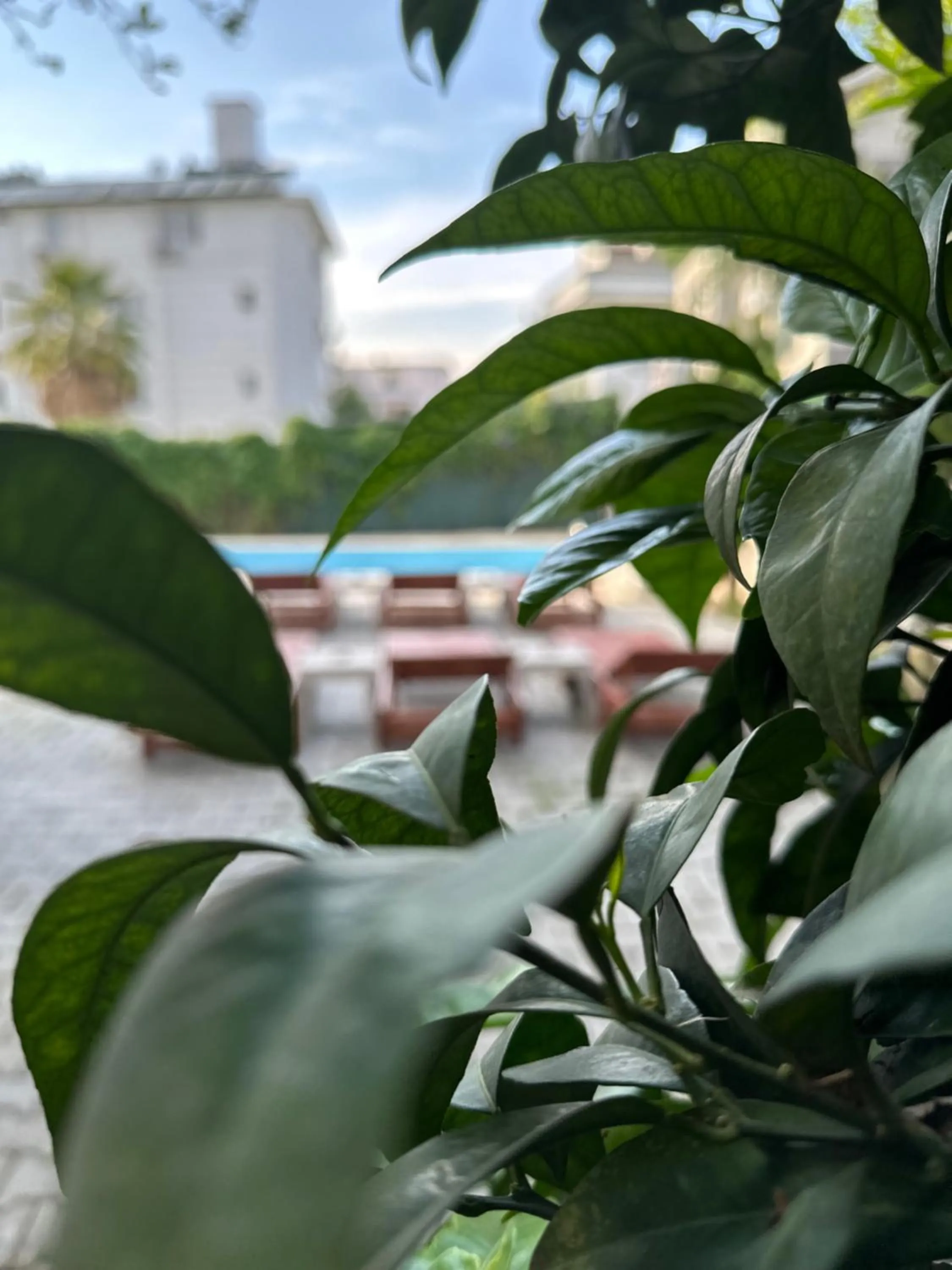 Spring in enjoy hotel