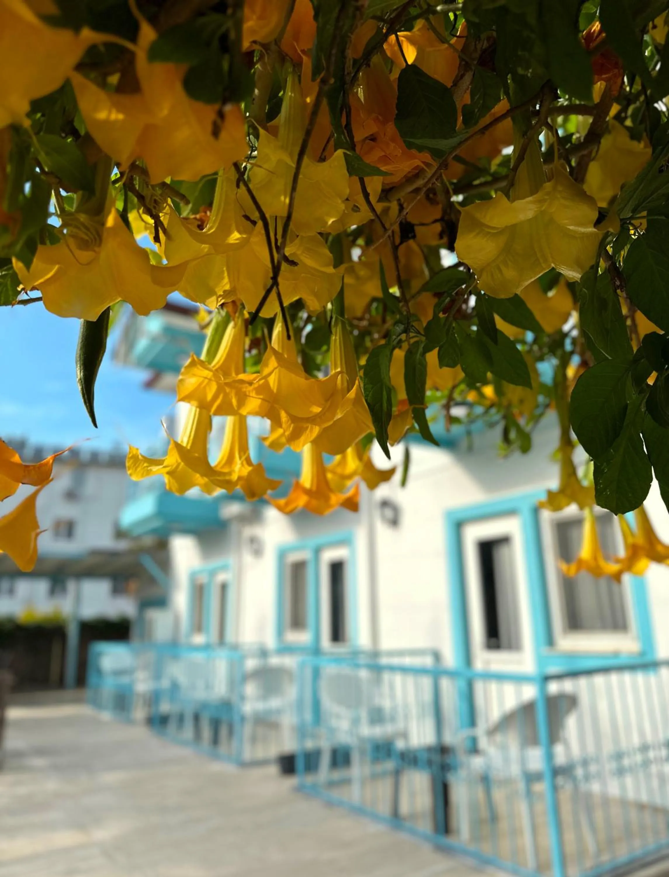 Property building in enjoy hotel