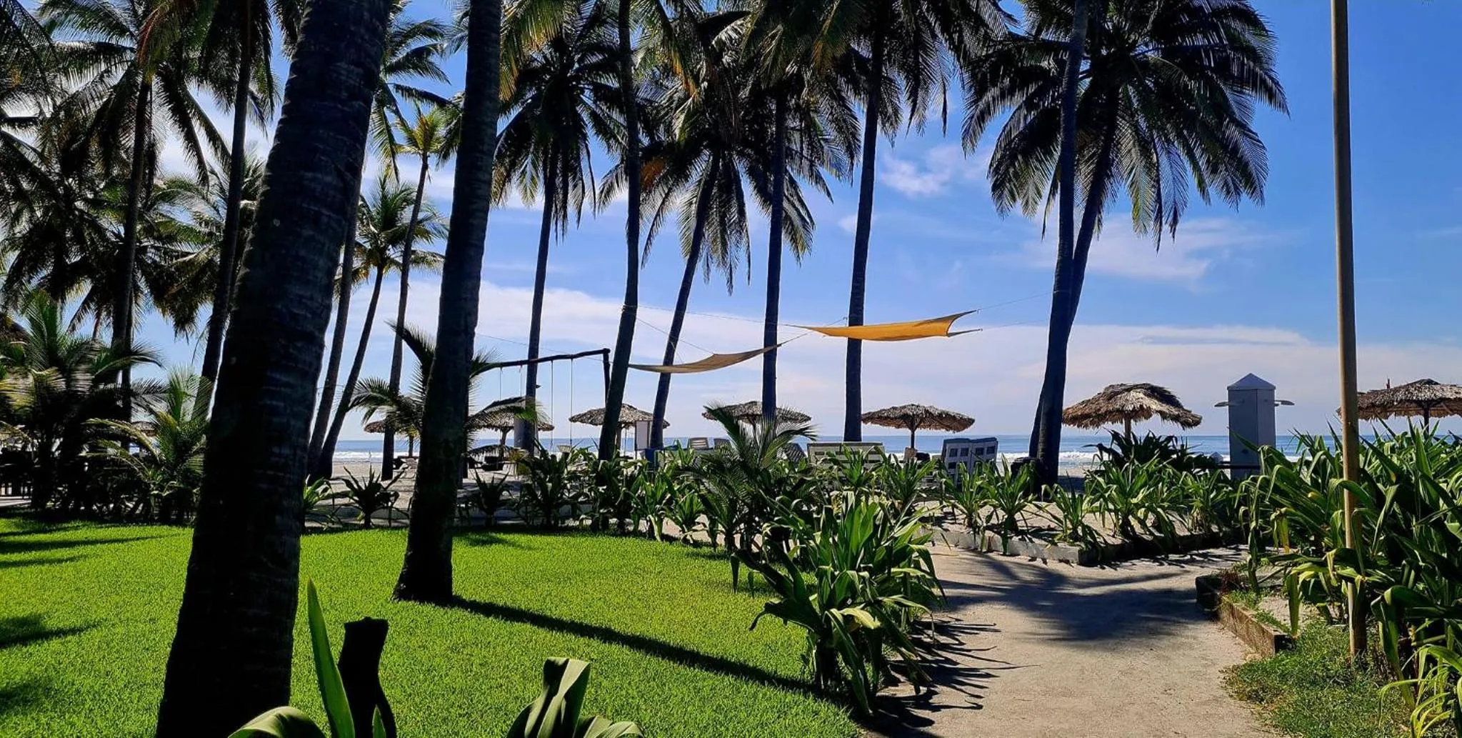 Garden in HOTEL TESORO BEACH