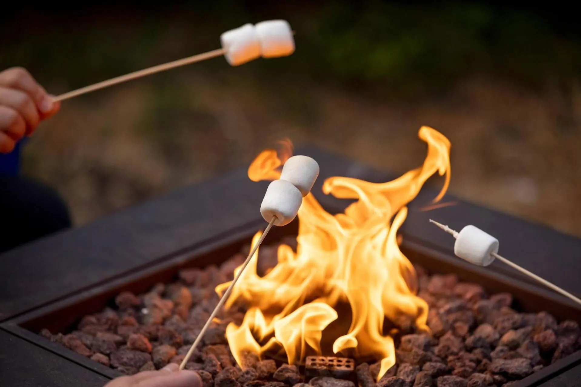 Food close-up in Americana Motor Hotel