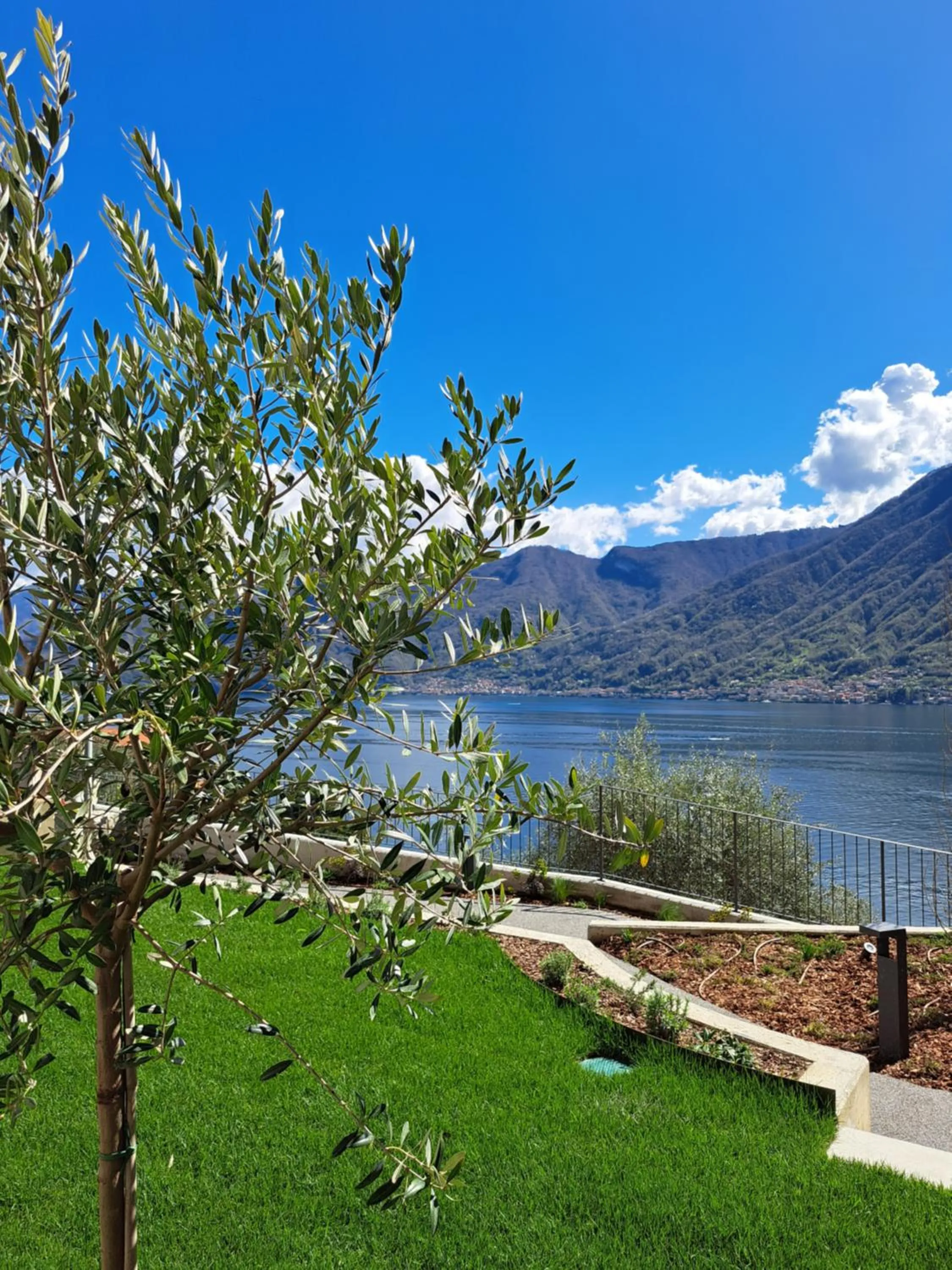 Garden in Villa Clementina Boutique Hotel