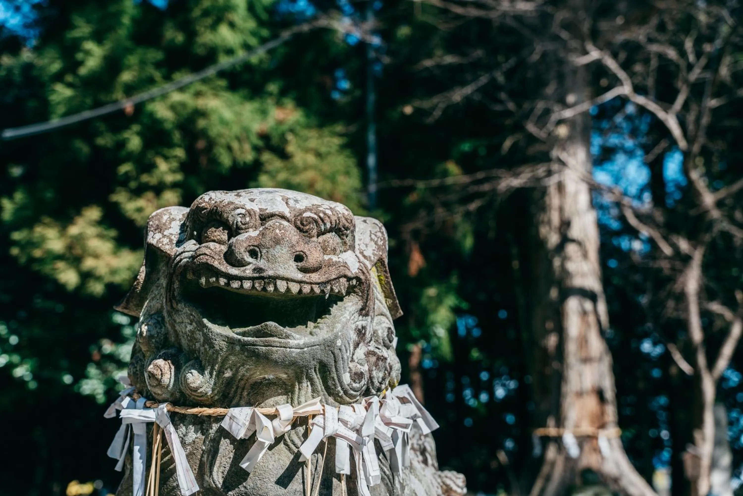 Nearby landmark in RITA Gosemachi