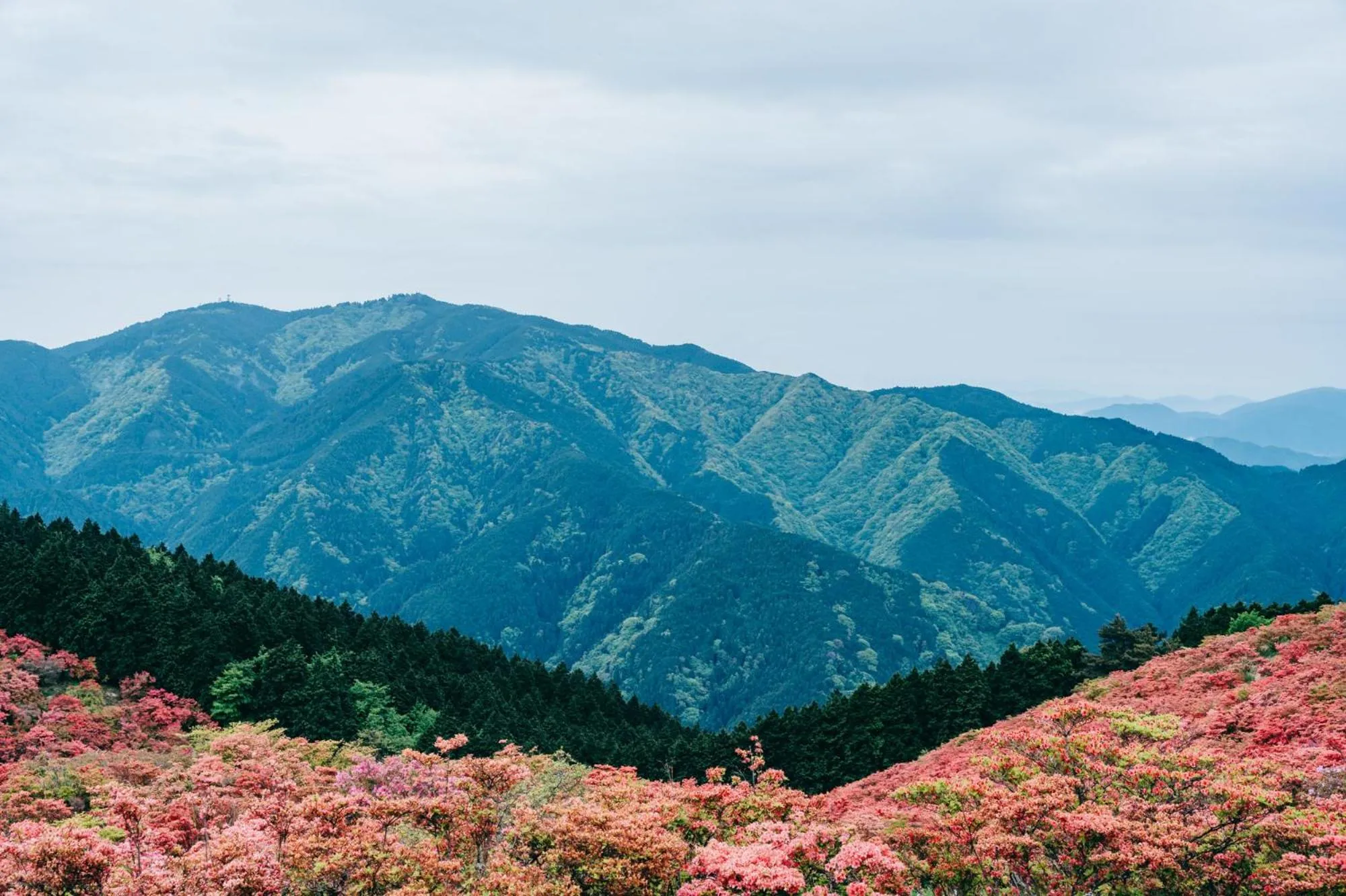 Nearby landmark in RITA Gosemachi
