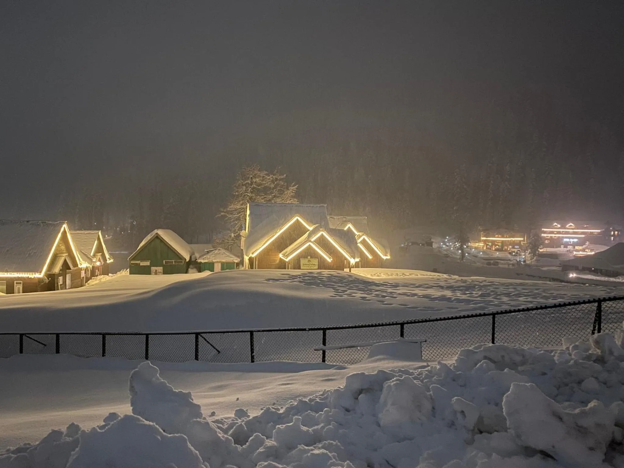 Night in Gulmarg Woods By Stay Pattern