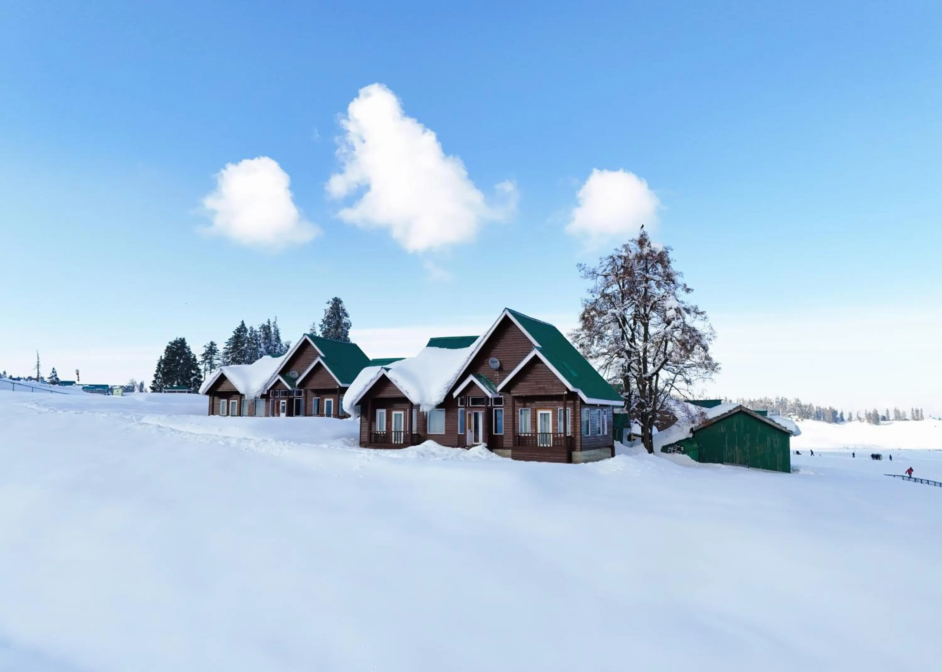 Day in Gulmarg Woods By Stay Pattern