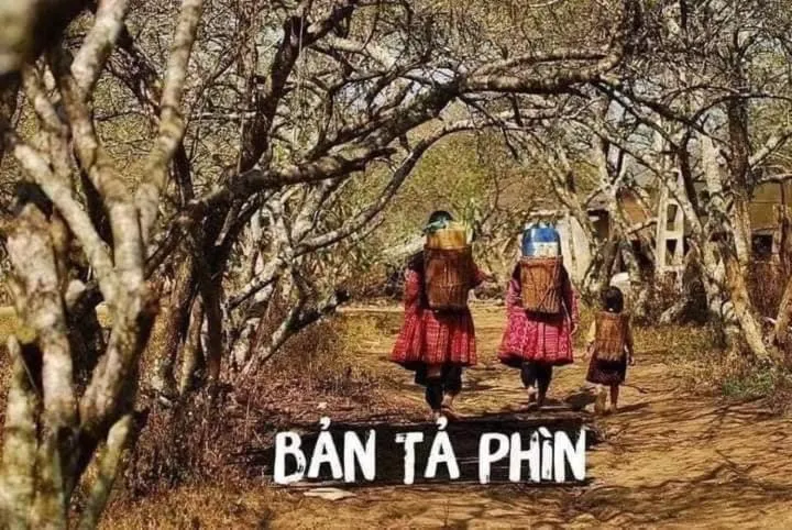 Day in Tiger Sapa hotel