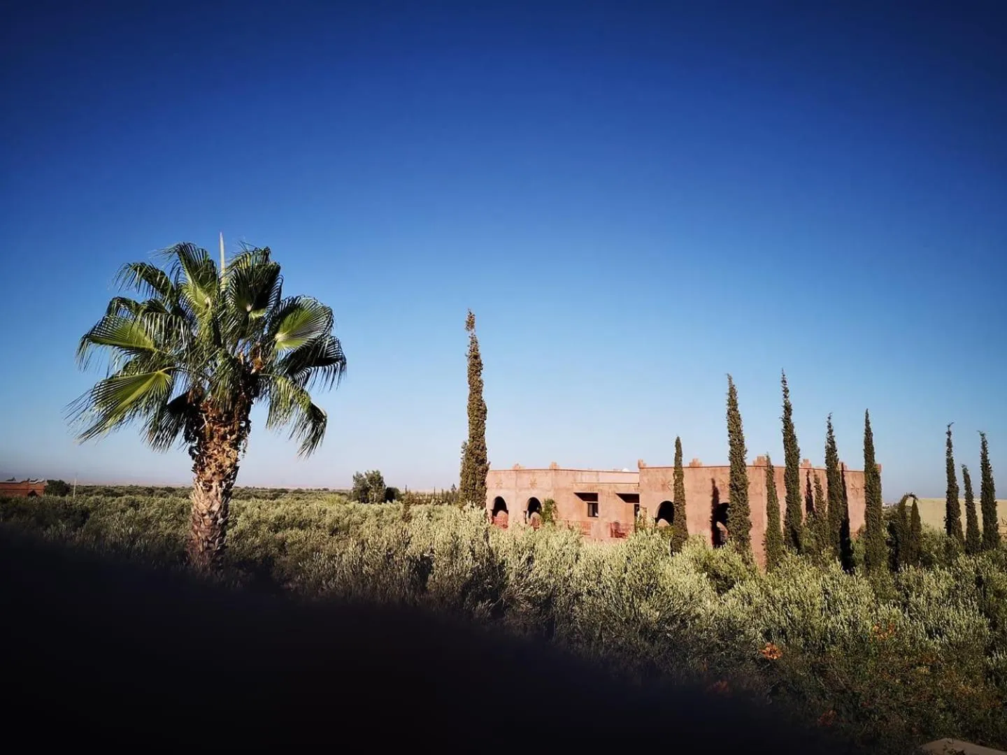 View (from property/room) in Domaine de Tameslohte