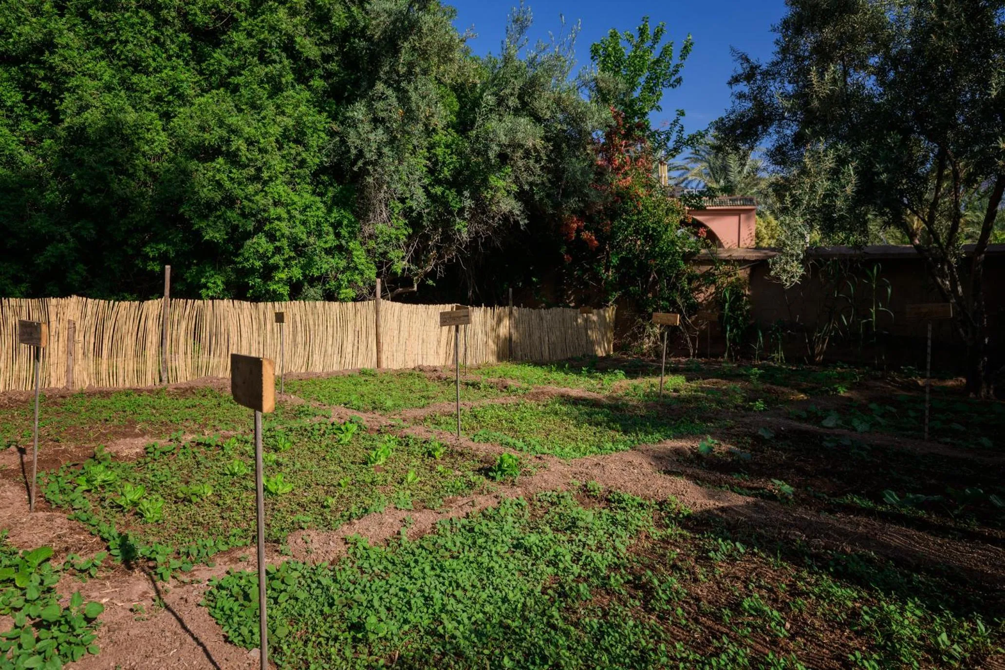 Restaurant/places to eat in Villa Al Assala Palmeraie