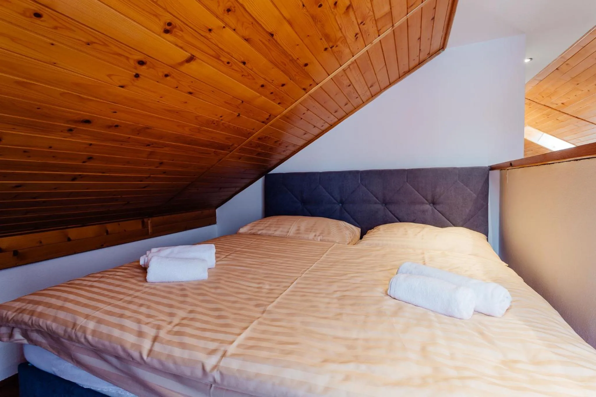Photo of the whole room, Bed in Botanický dvor