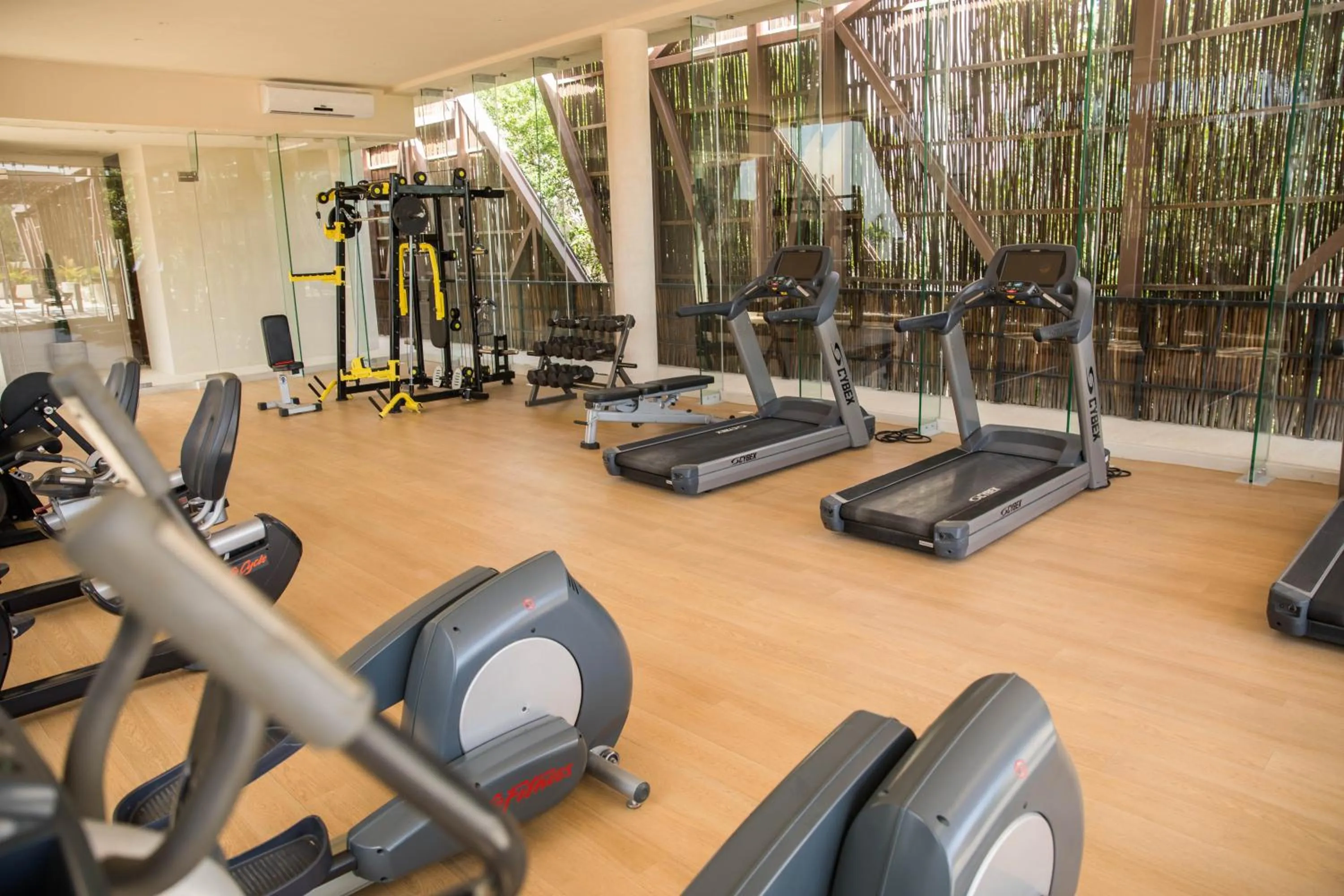 Fitness centre/facilities in Ophelia Experience