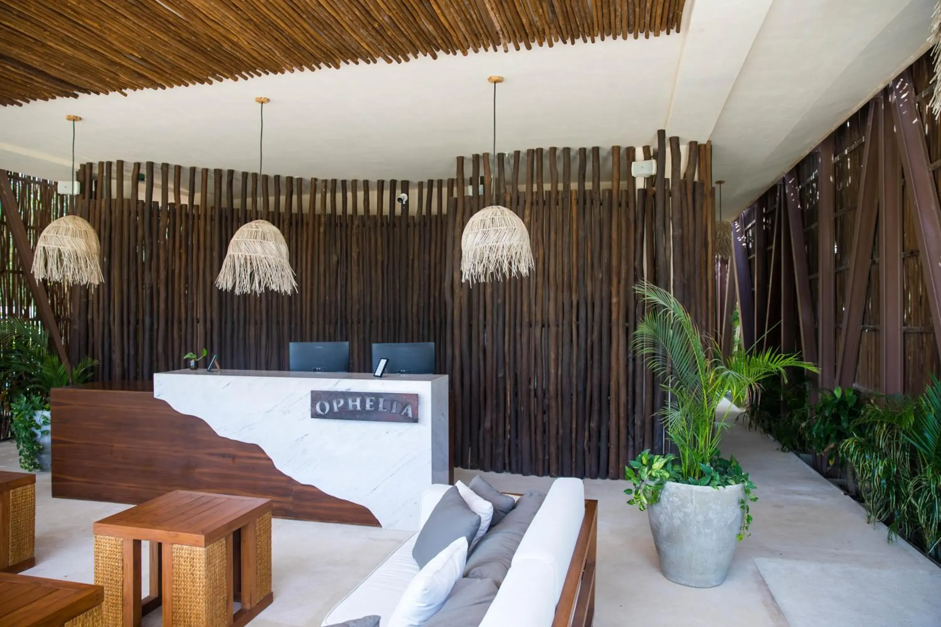 Standard Studio in Ophelia Experience Standard Studio in Ophelia Experience