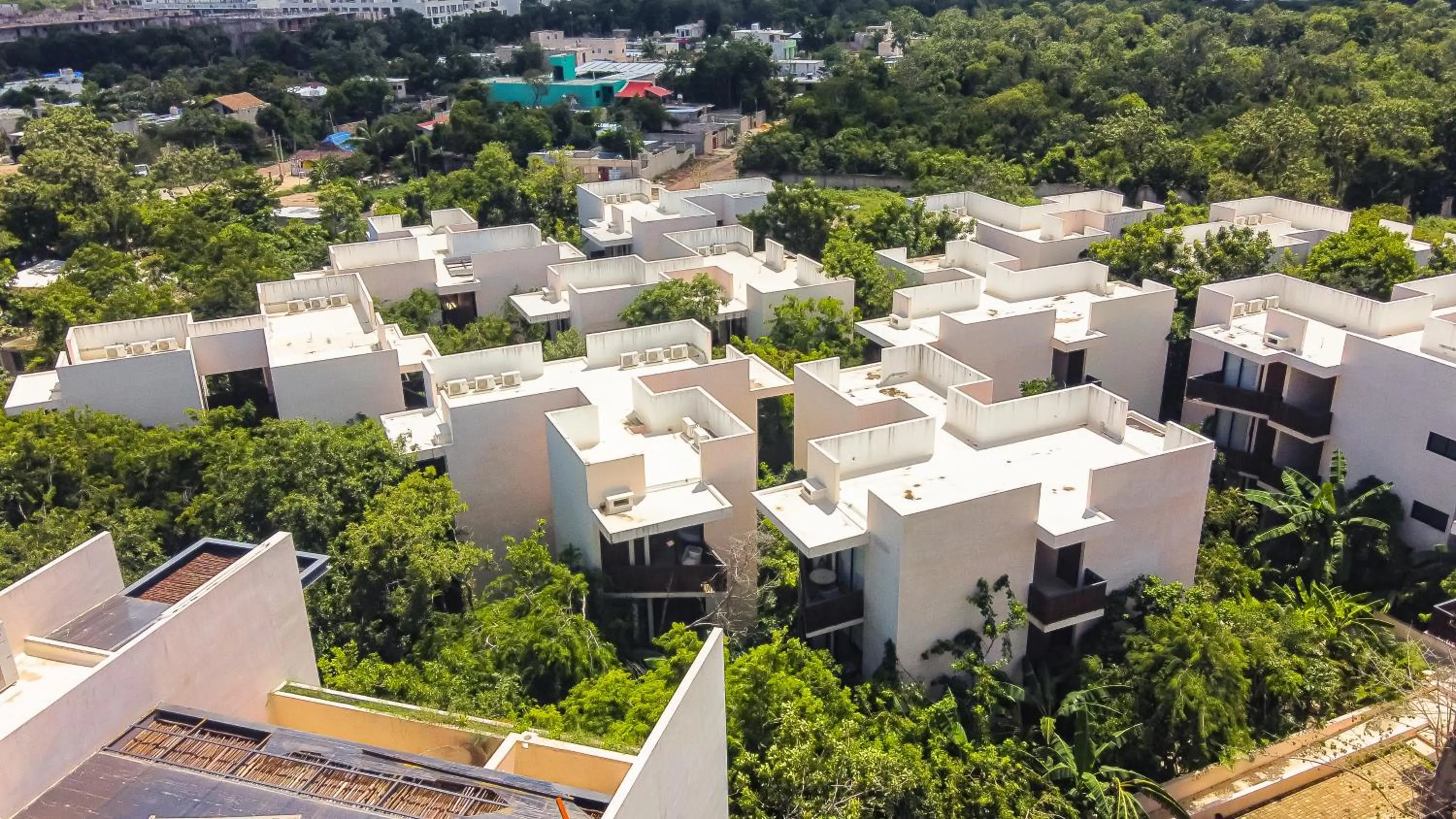 Property building in Ophelia Experience