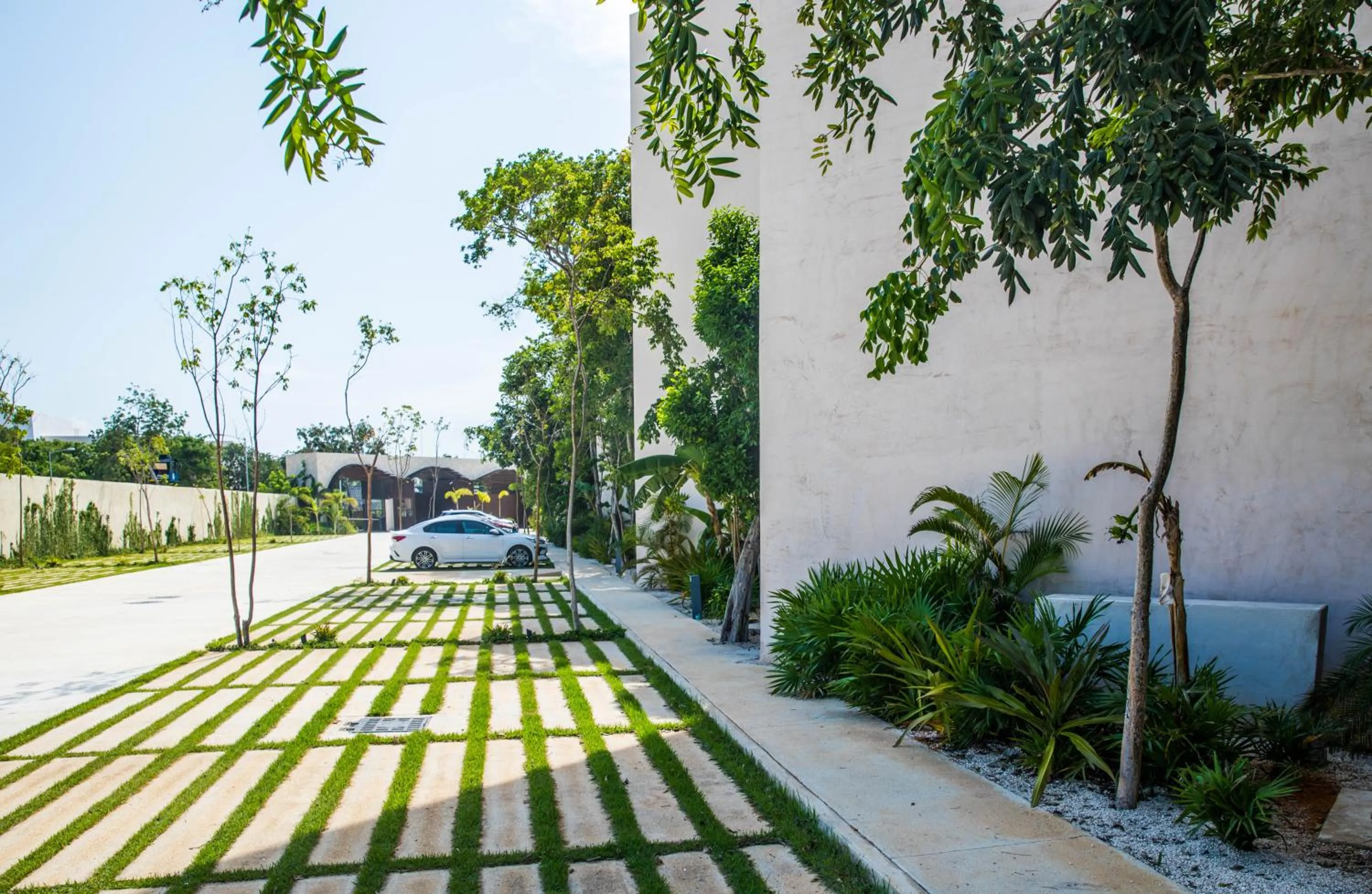 Parking in Ophelia Experience