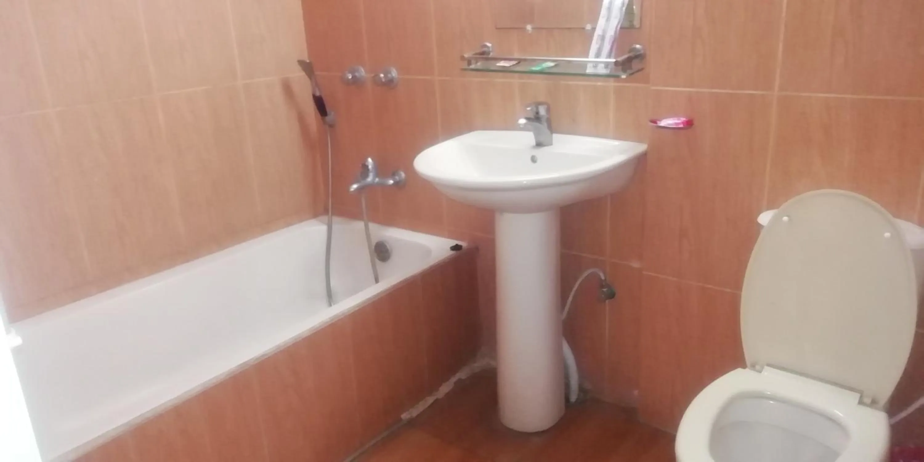 Bathroom in Hotel Skylink