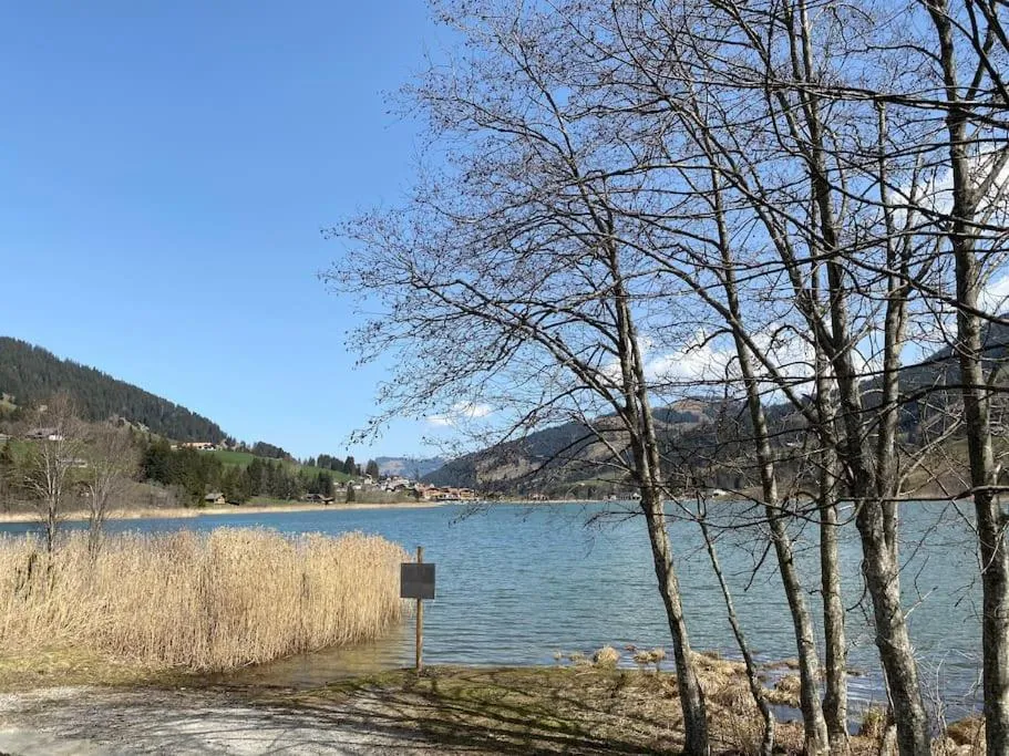 Wohnen mit Blick auf Eiger - ehemaliges Bauernhaus - 2 Schlafzimmer