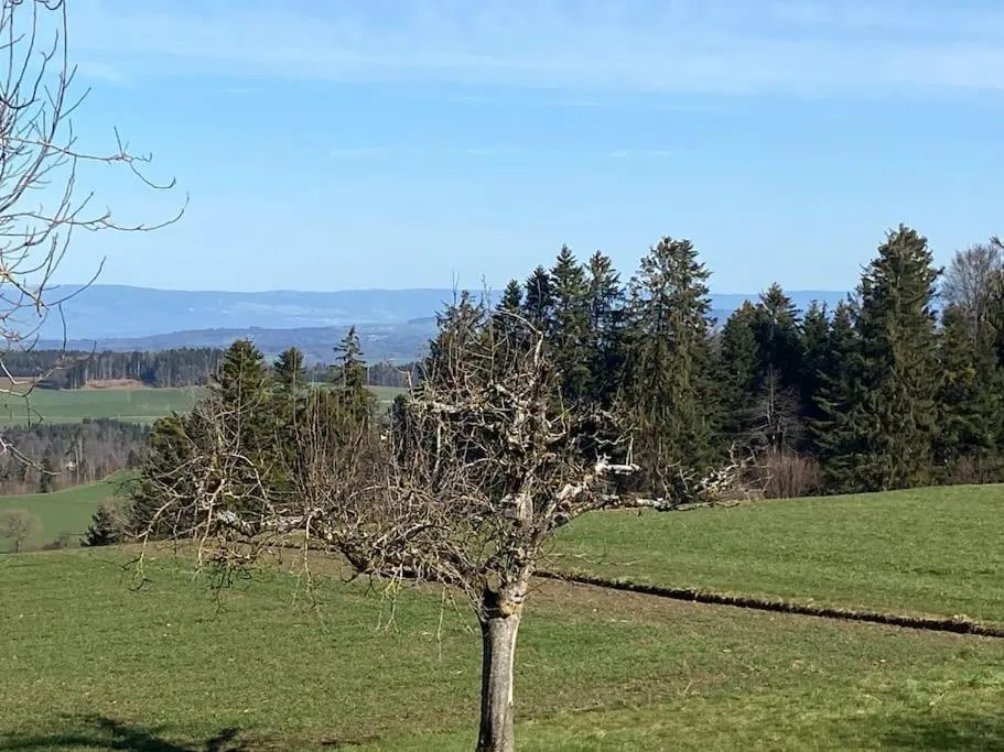 Wohnen mit Blick auf Eiger - ehemaliges Bauernhaus - 2 Schlafzimmer