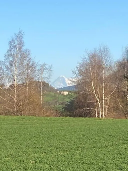 Wohnen mit Blick auf Eiger - ehemaliges Bauernhaus - 2 Schlafzimmer