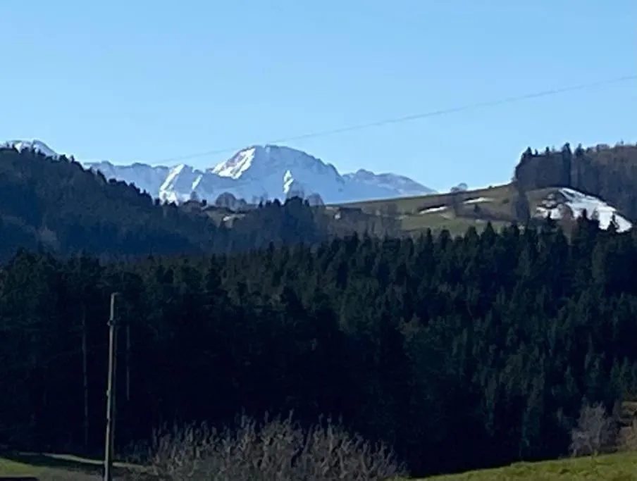 Wohnen mit Blick auf Eiger - ehemaliges Bauernhaus - 2 Schlafzimmer