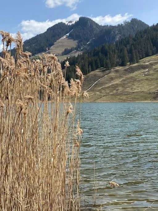 Wohnen mit Blick auf Eiger - ehemaliges Bauernhaus - 2 Schlafzimmer
