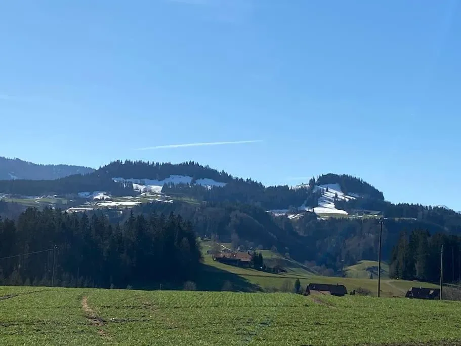 Wohnen mit Blick auf Eiger - ehemaliges Bauernhaus - 2 Schlafzimmer