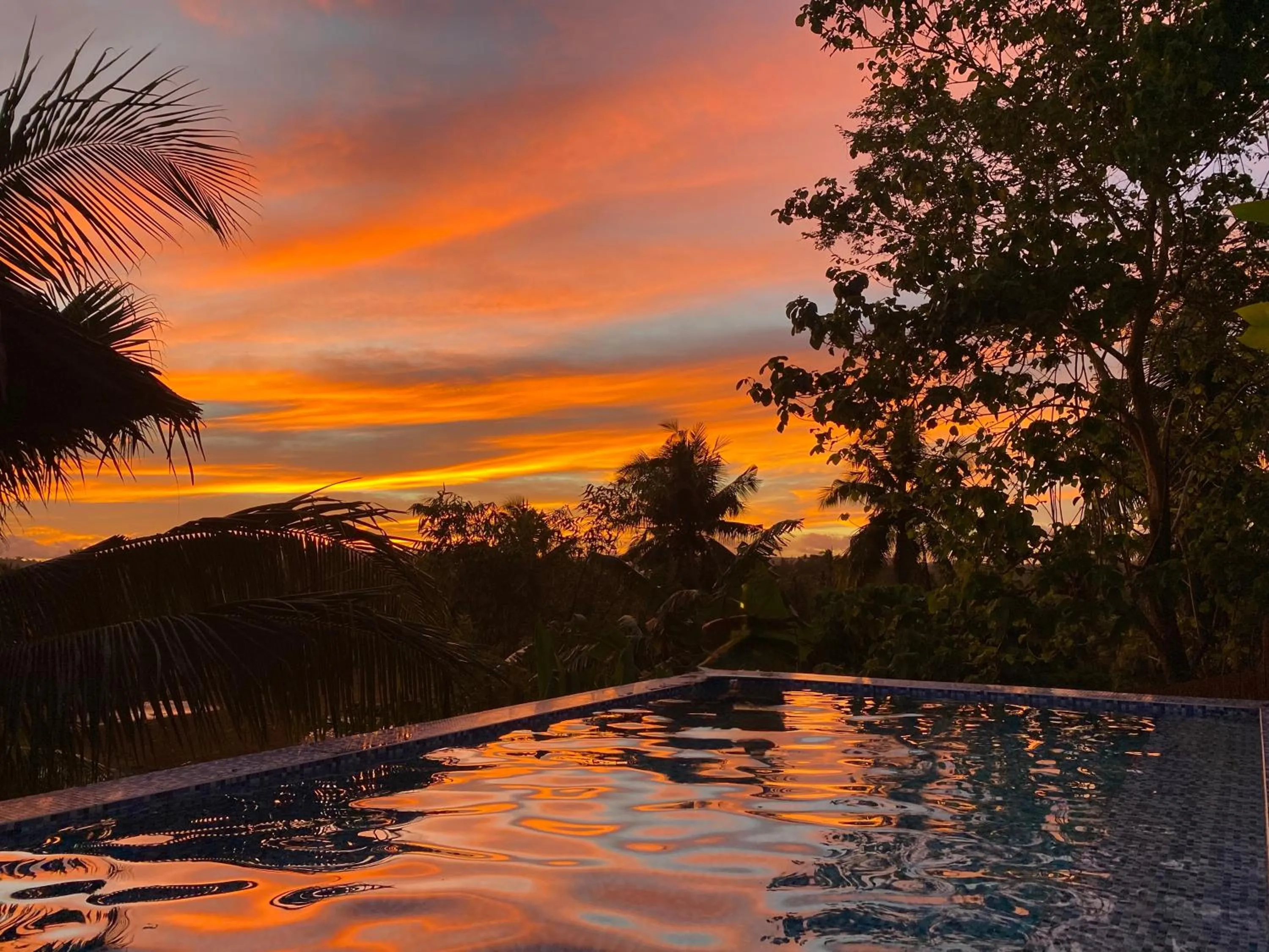 Lexias Hostel and Workspace - Siargao