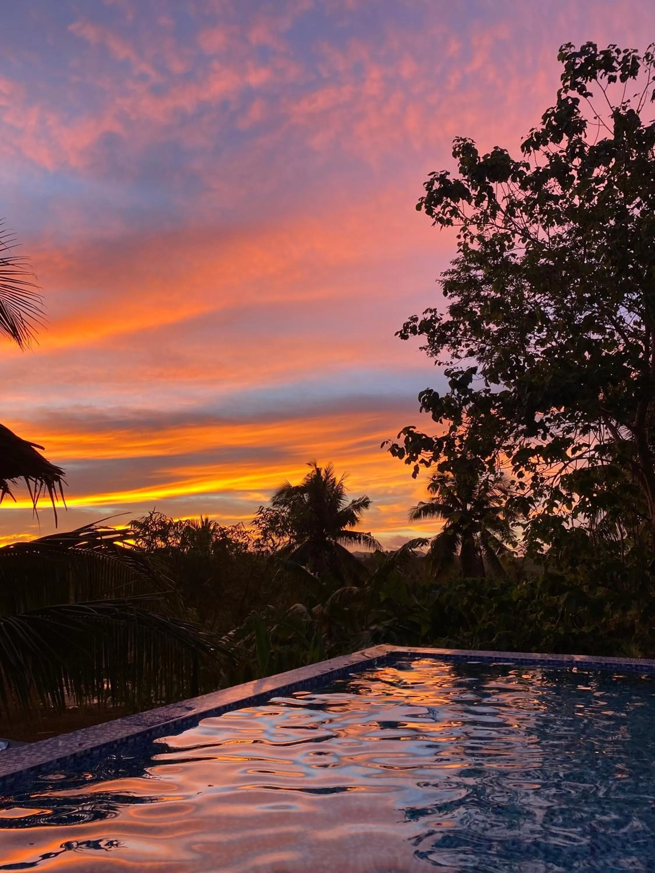 Lexias Hostel and Workspace - Siargao