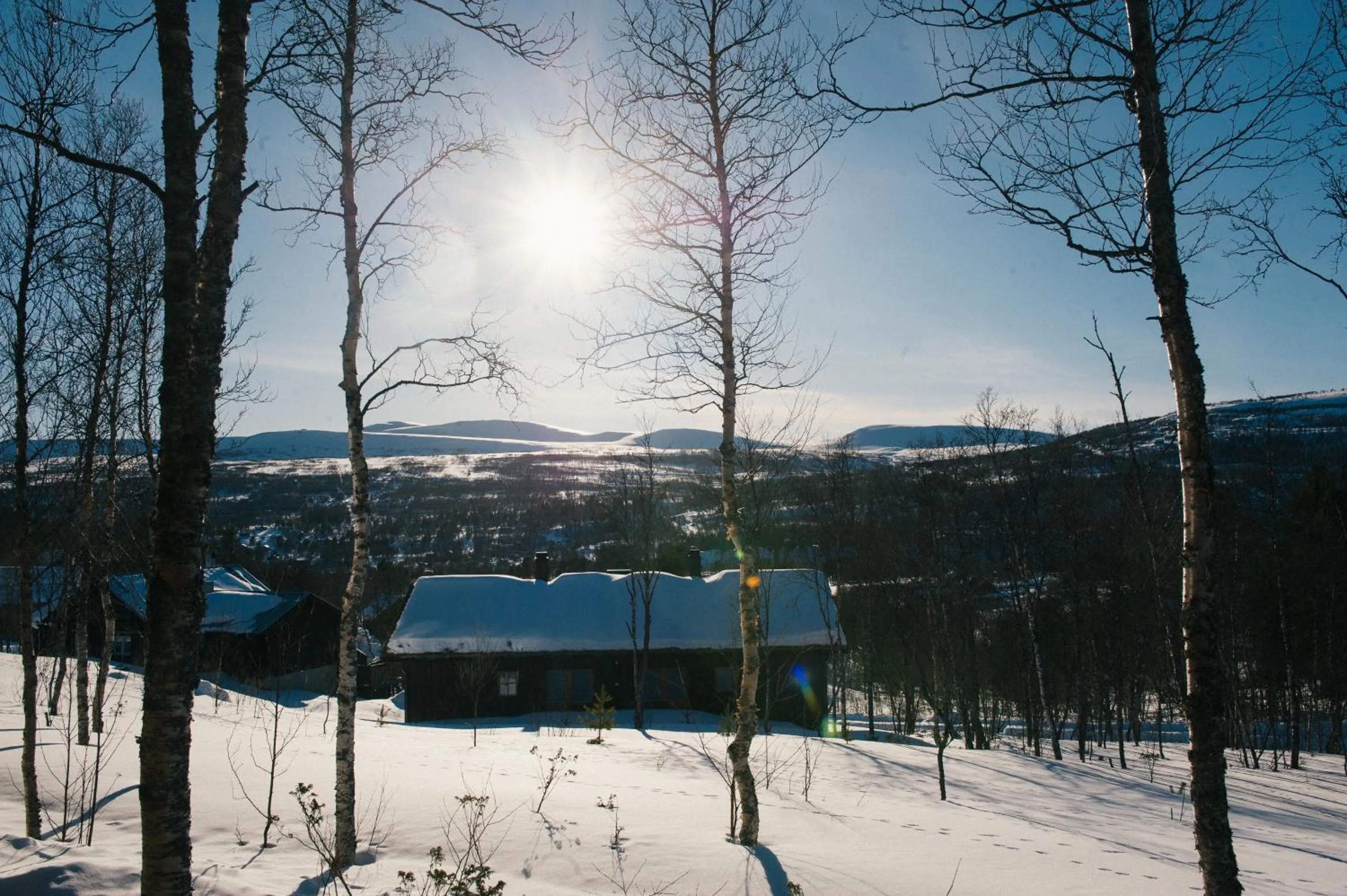Natural landscape in Fjällfrid stugby