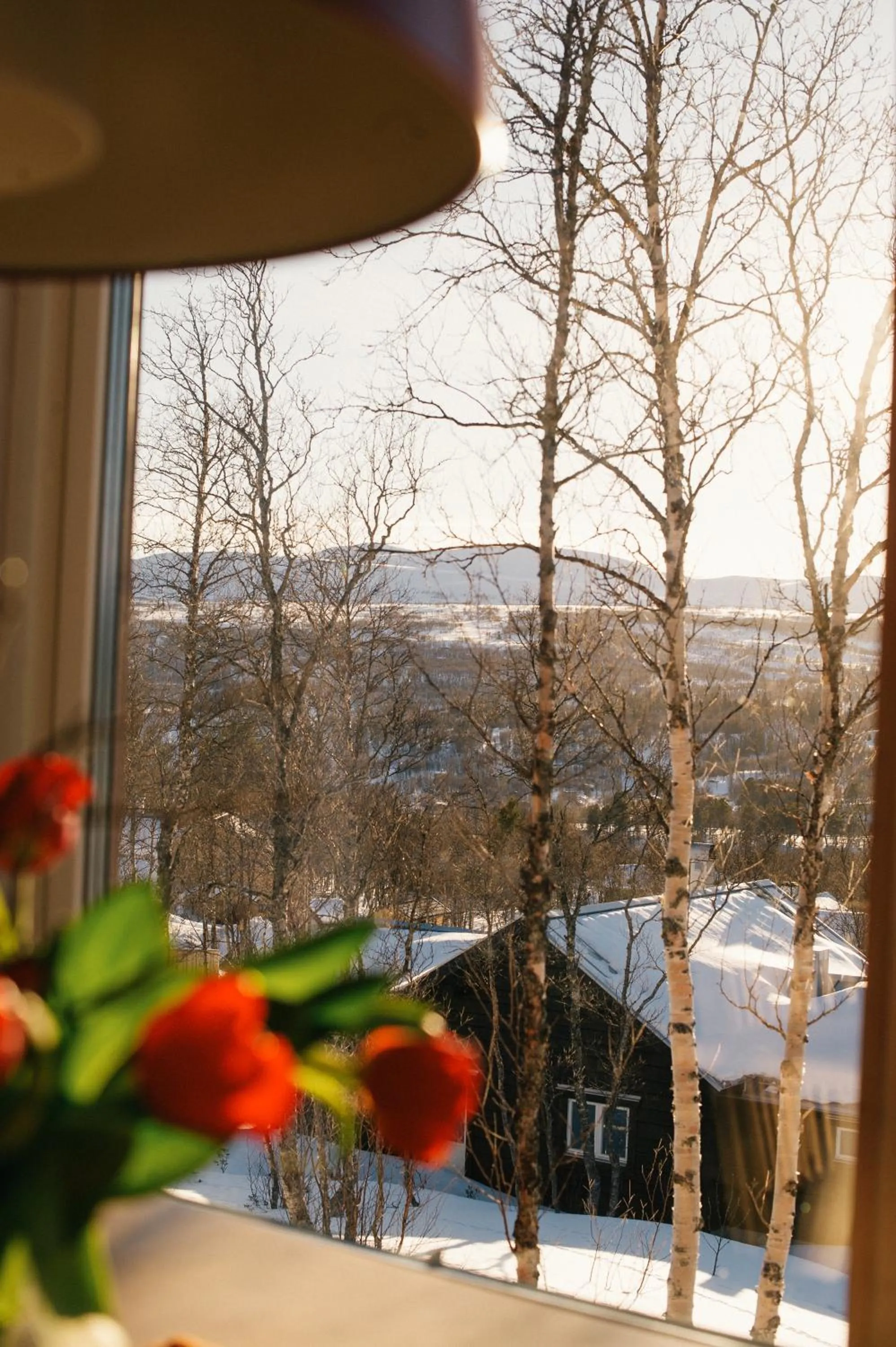 Natural landscape in Fjällfrid stugby