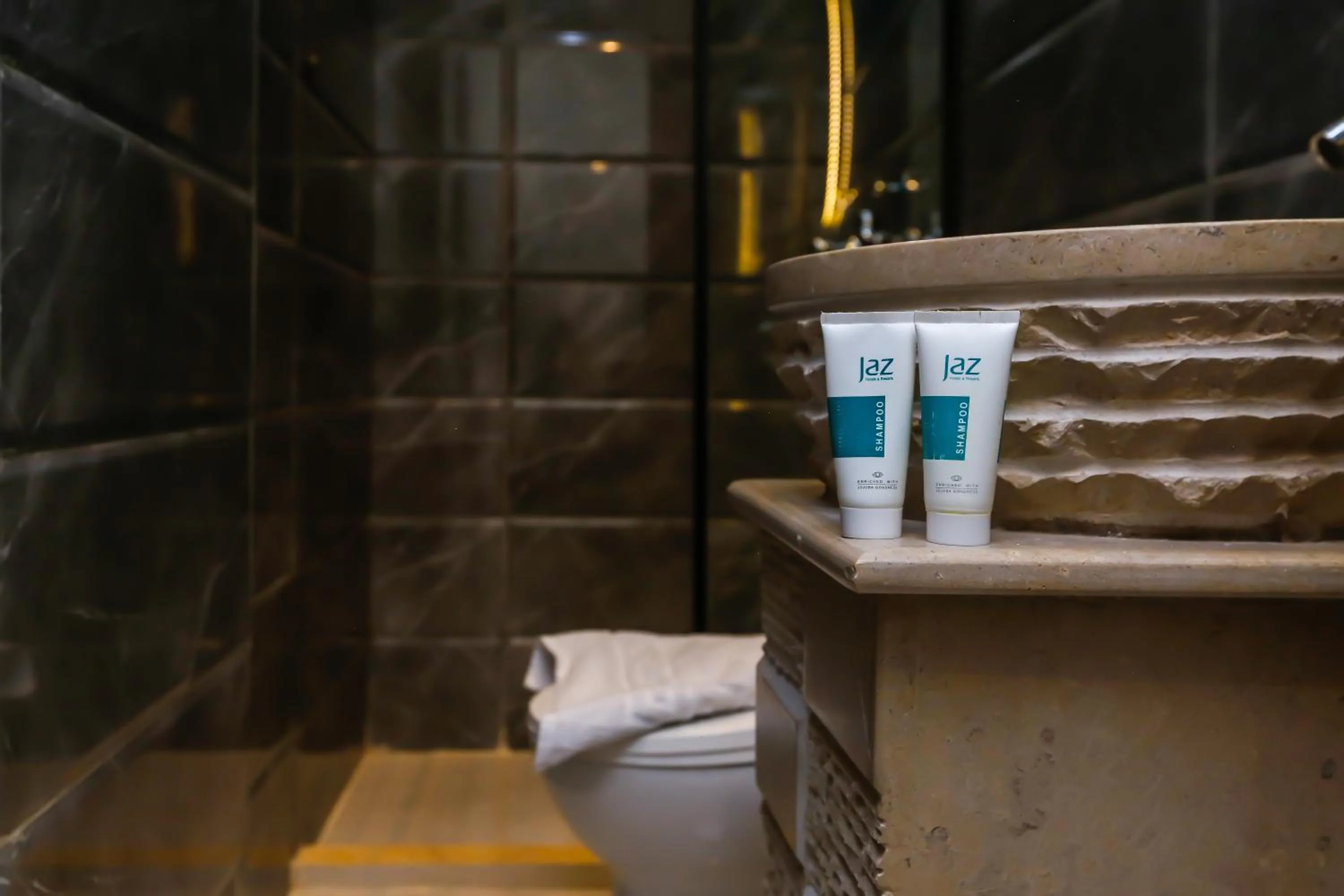 Shower in Crowne Pyramids View inn