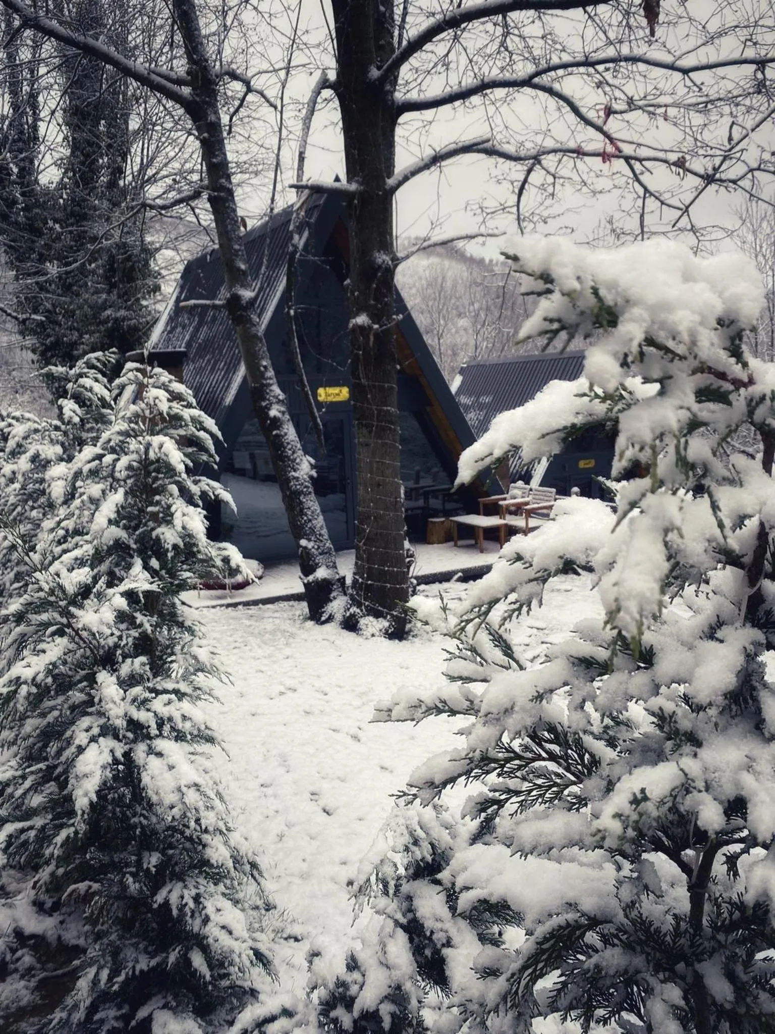 Winter in Loca Sapanca Bungalov