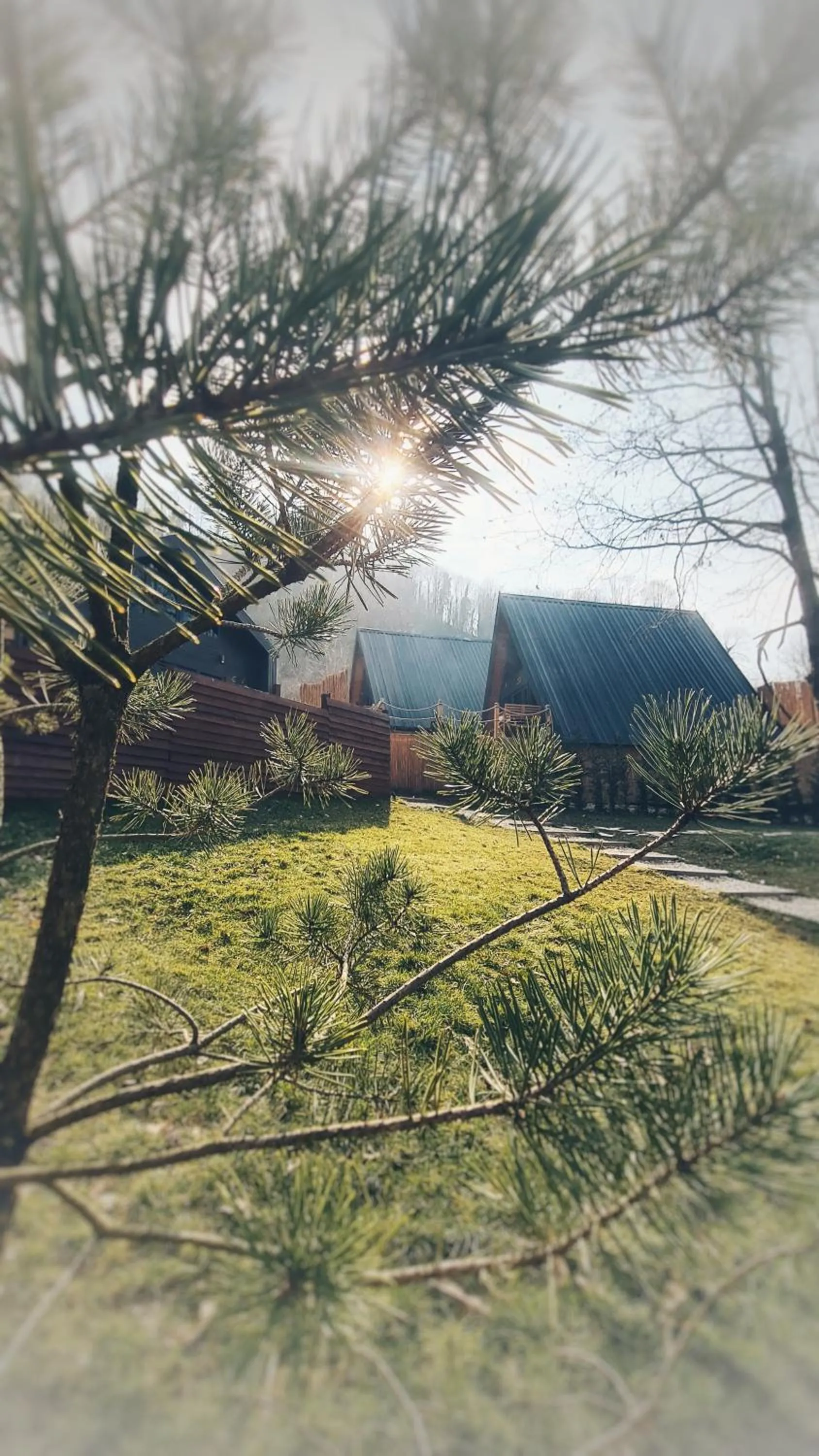 Spring in Loca Sapanca Bungalov