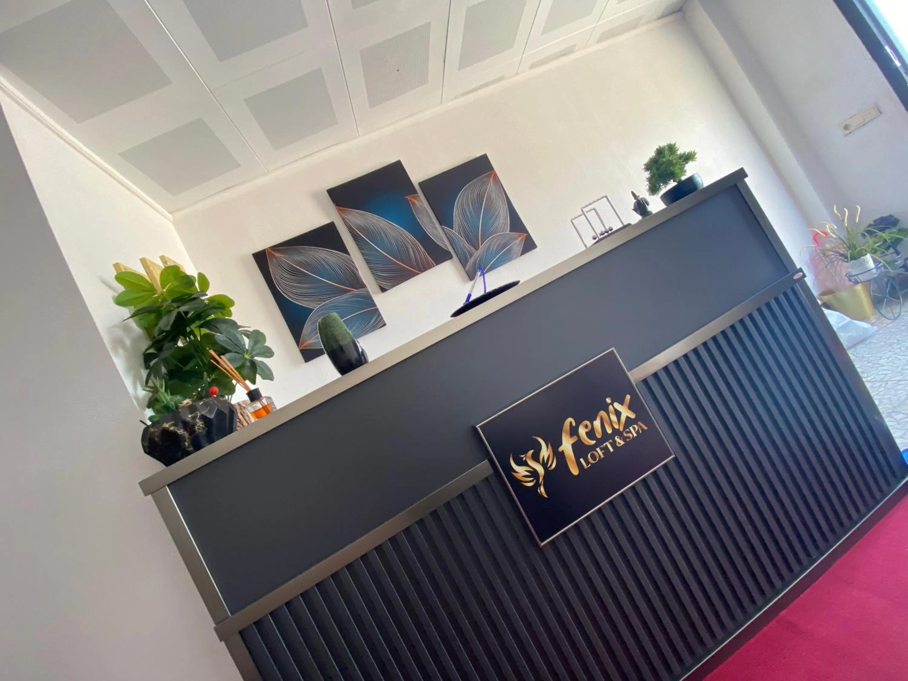 Lobby or reception in Fenix loft