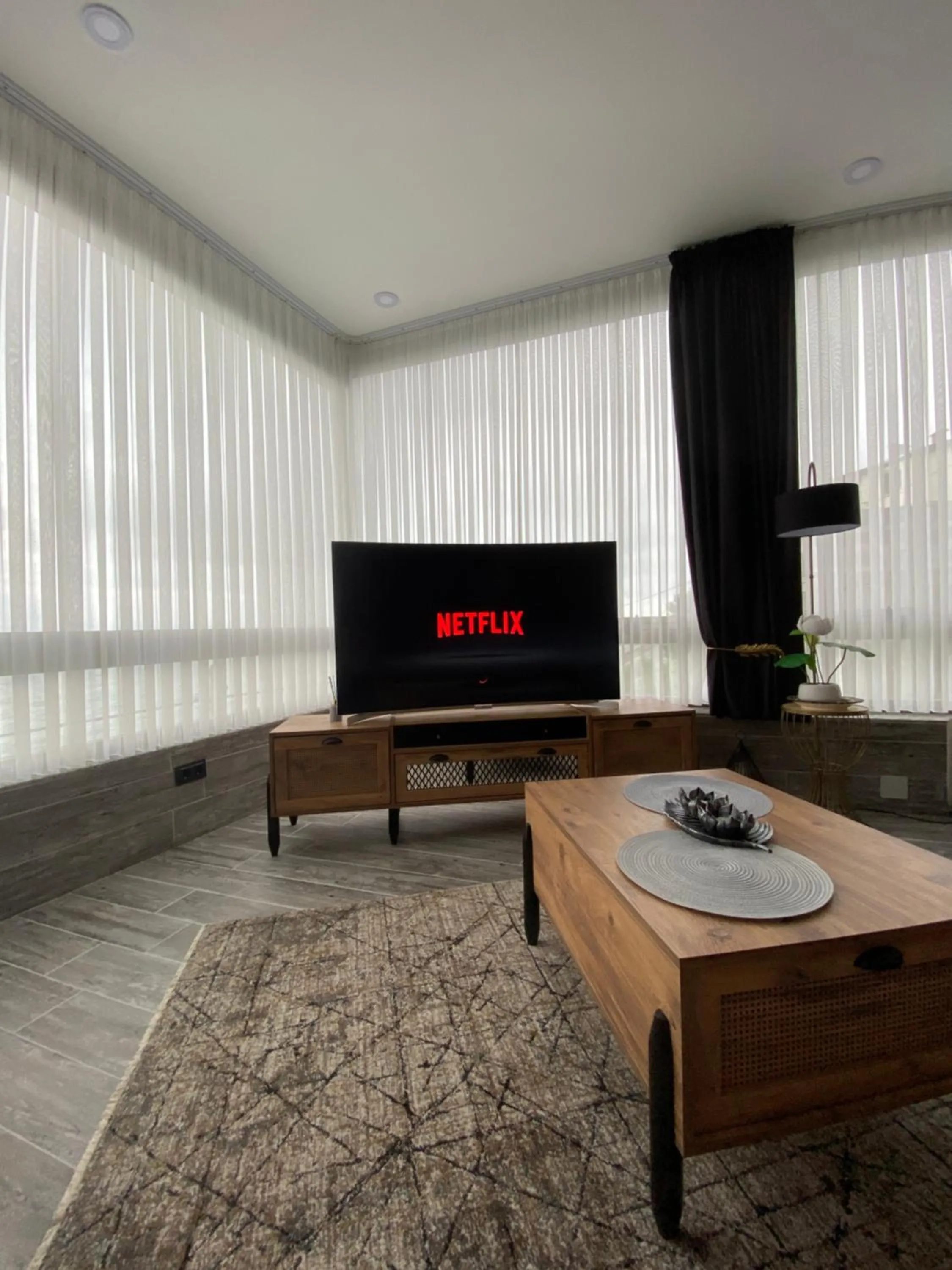 TV and multimedia in Fenix loft
