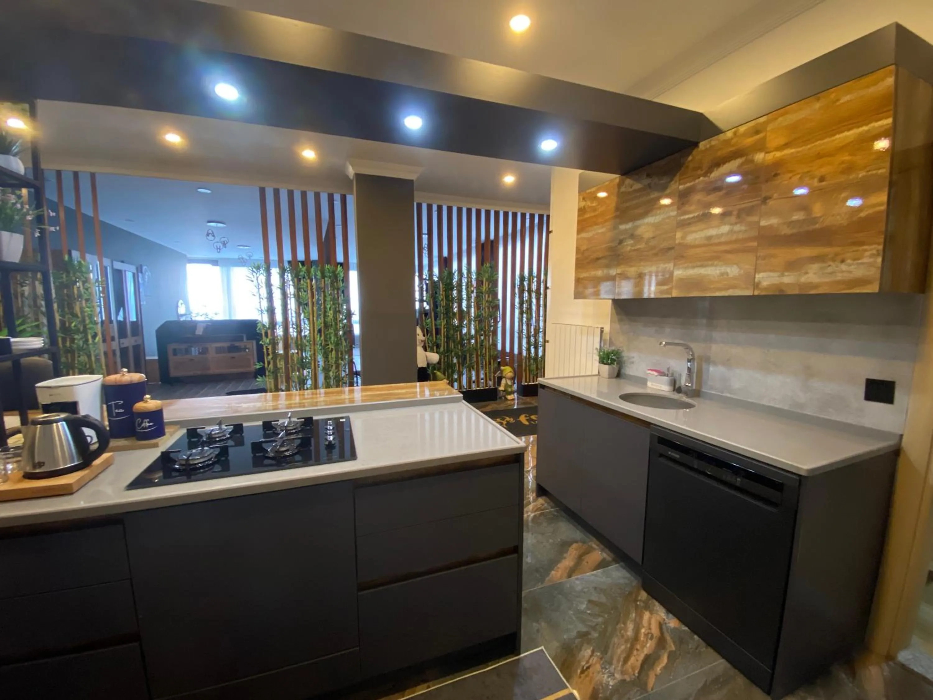 dishwasher in Fenix loft