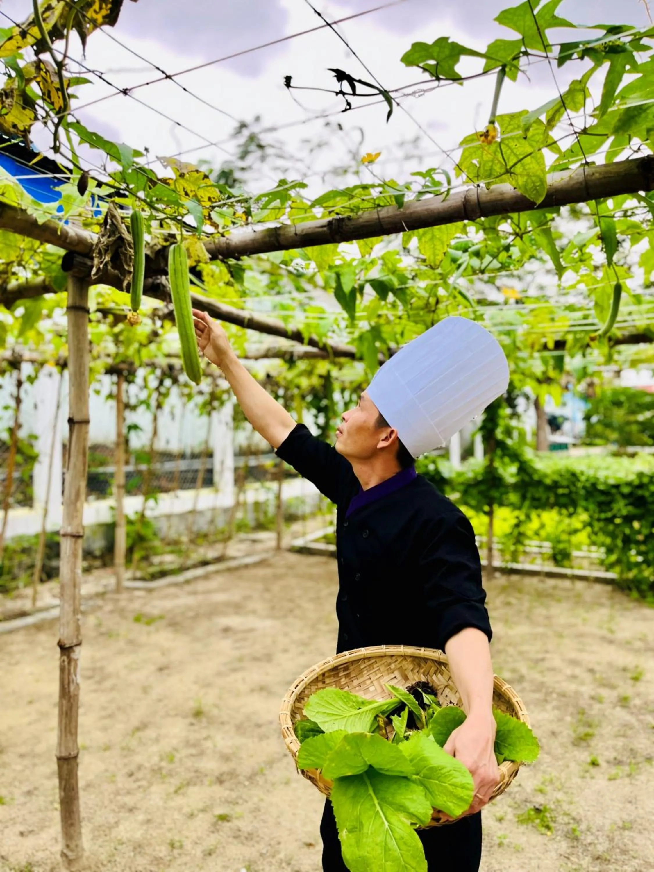 Activities in TTC Van Phong Bay Resort - Himalaya Sauna & Steam Retreat Included