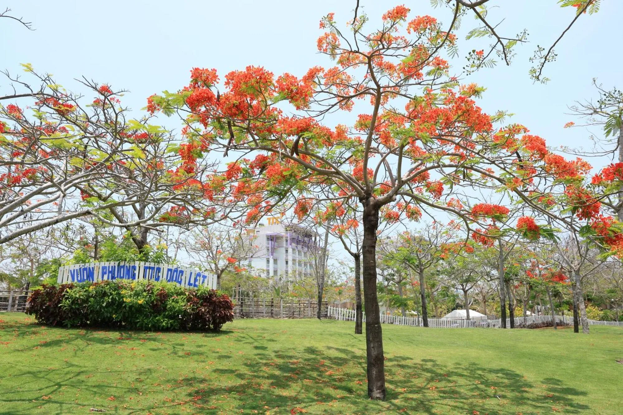 Activities in TTC Van Phong Bay Resort - Himalaya Sauna & Steam Retreat Included