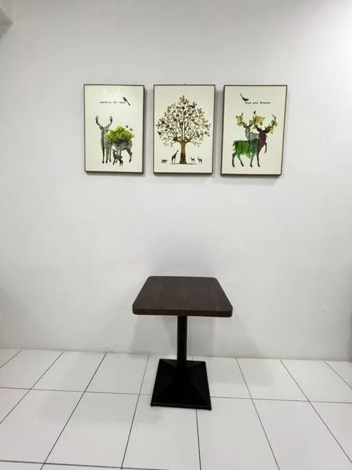 Lily King (modern and comfy)