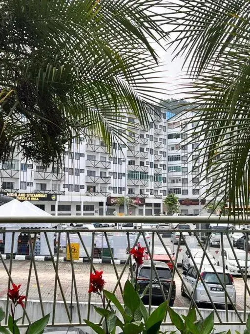 Lily King (modern and comfy) Lily King (modern and comfy)